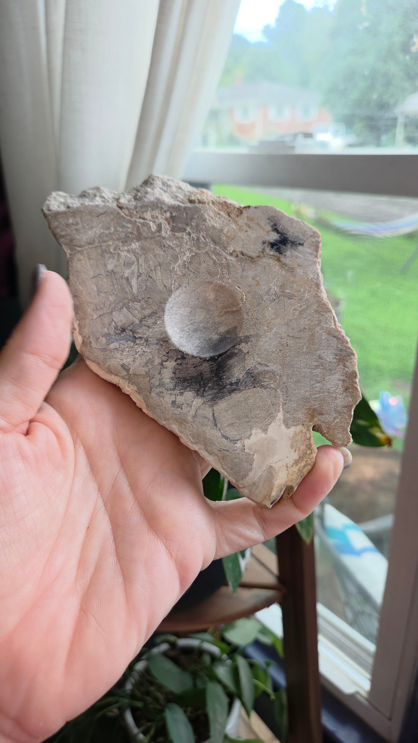 Petrified Wood Sphere Holder (15a)
