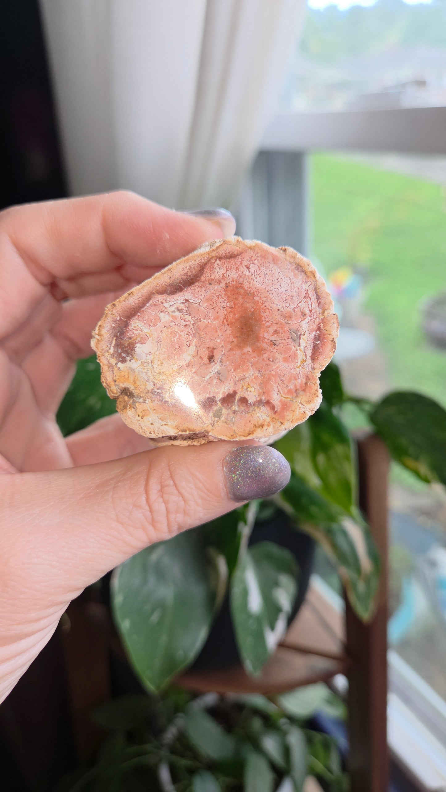 Petrified Wood Log (18c)