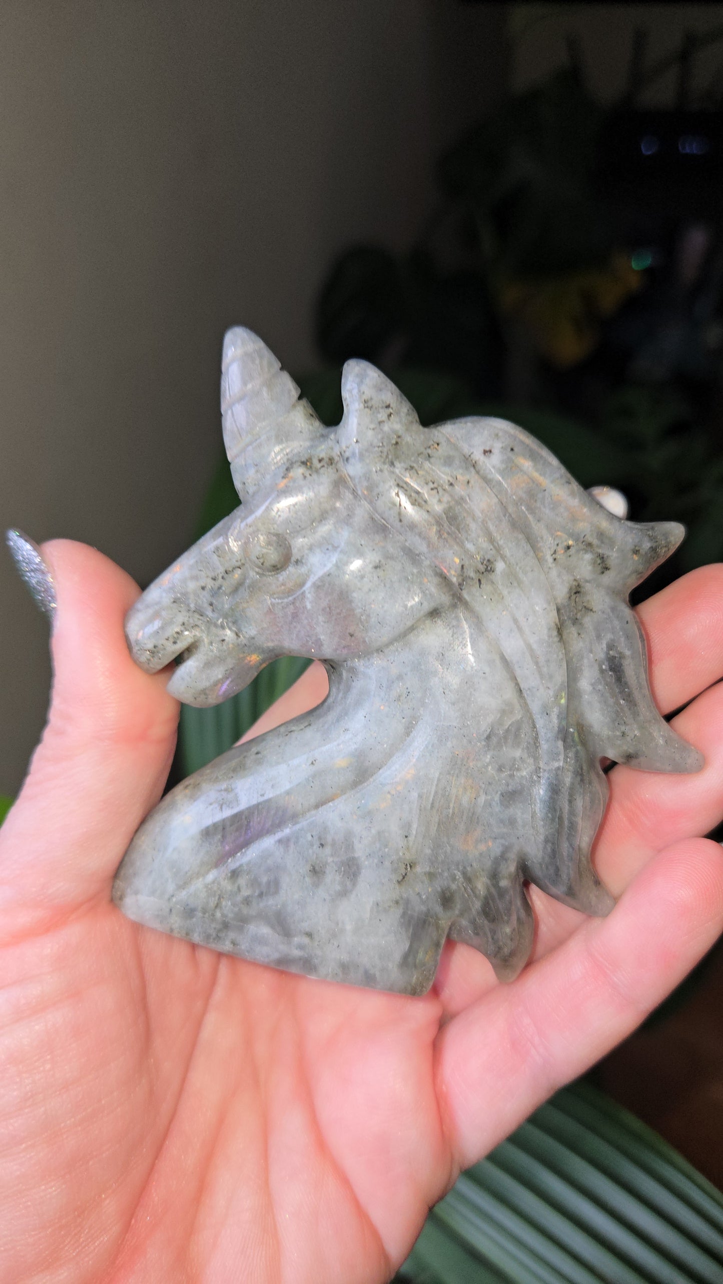 Lab Unicorn Carving 🦄