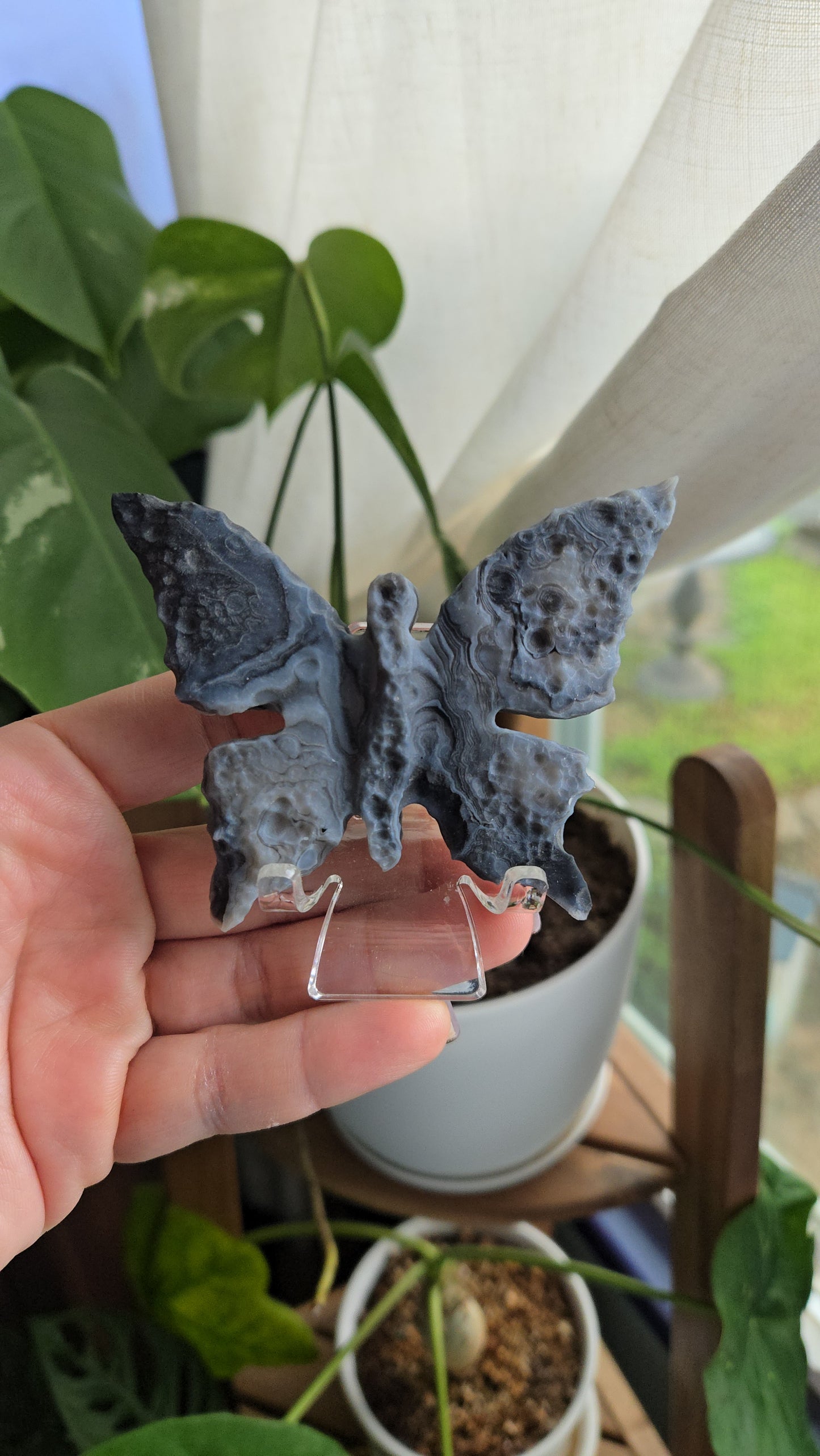 Gobi Agate Butterflies