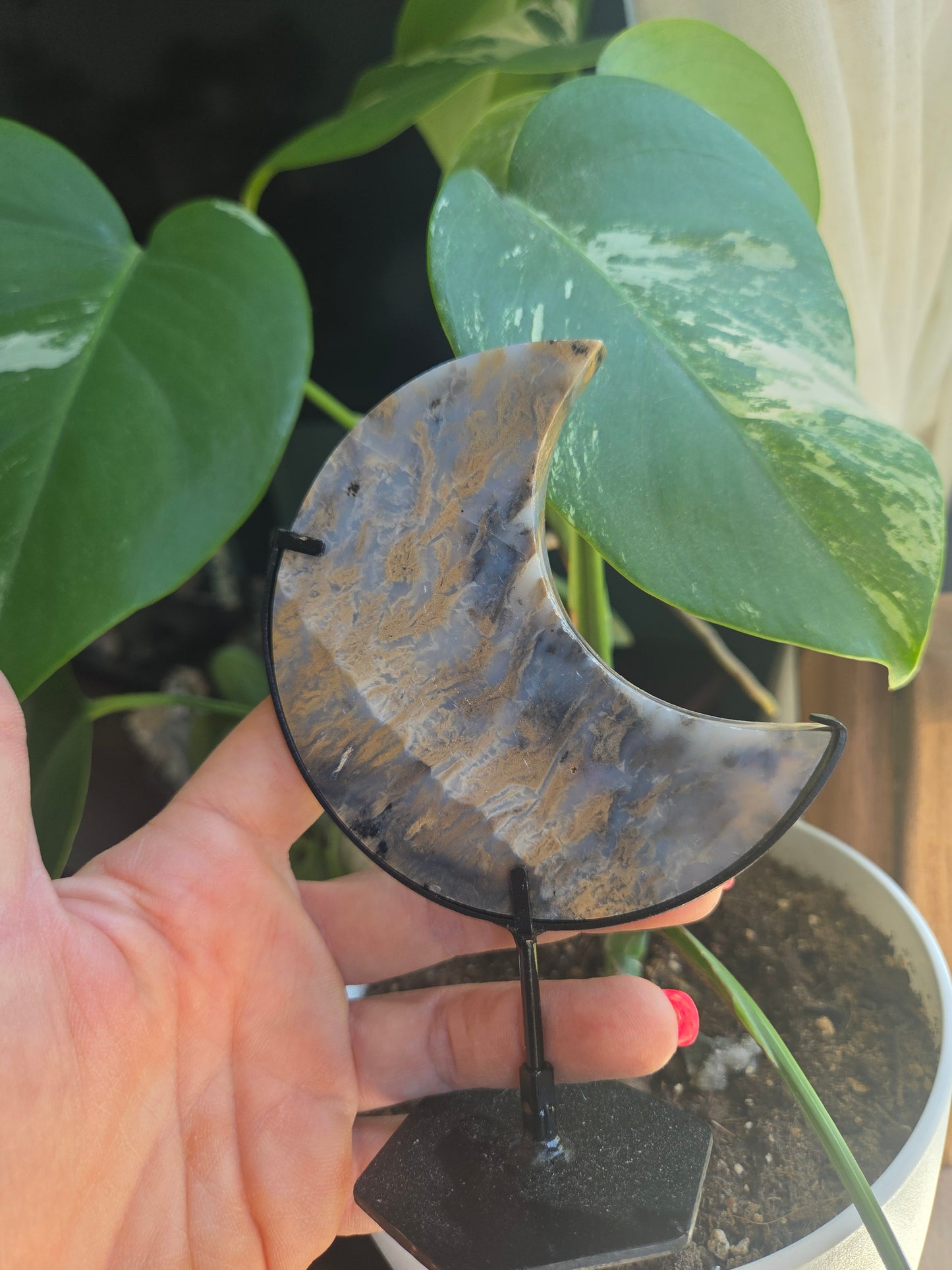 Dendritic Tiger Agate Moon