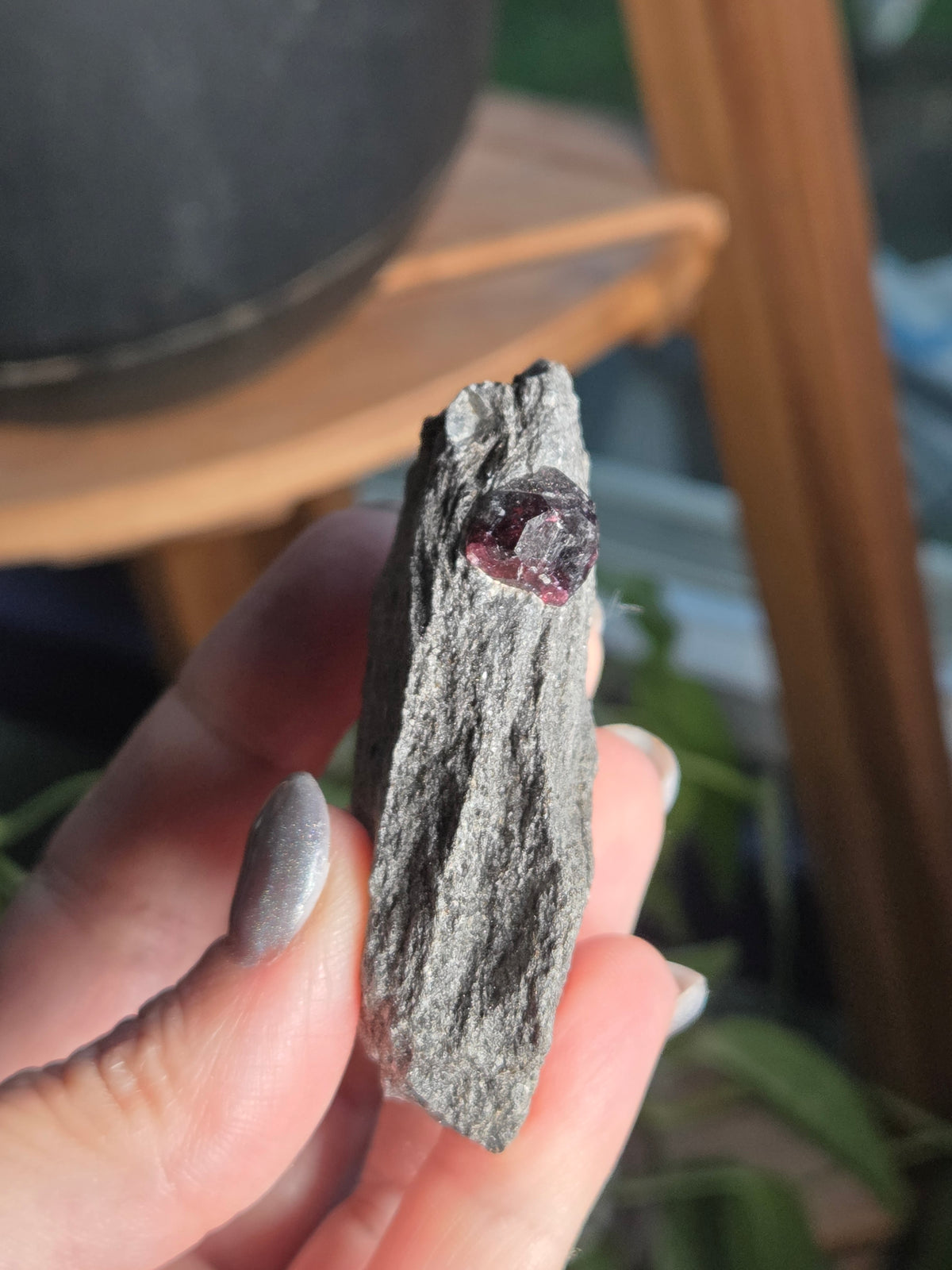 Alaskan Garnet