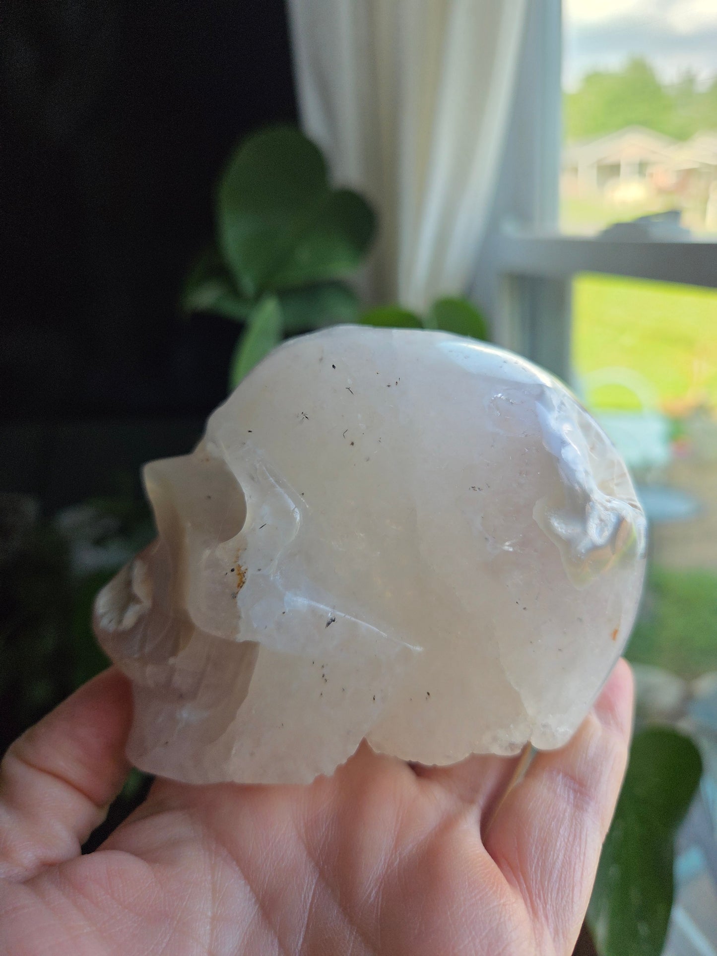 Dendritic Agate Skull