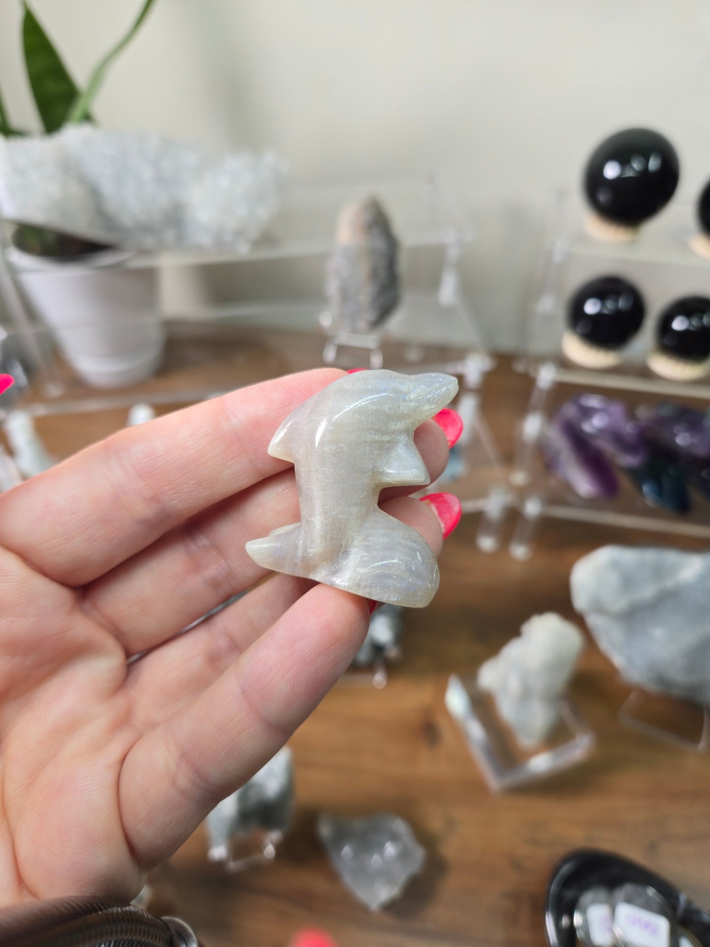 Live sale Jenn-Jenn 2 of 7