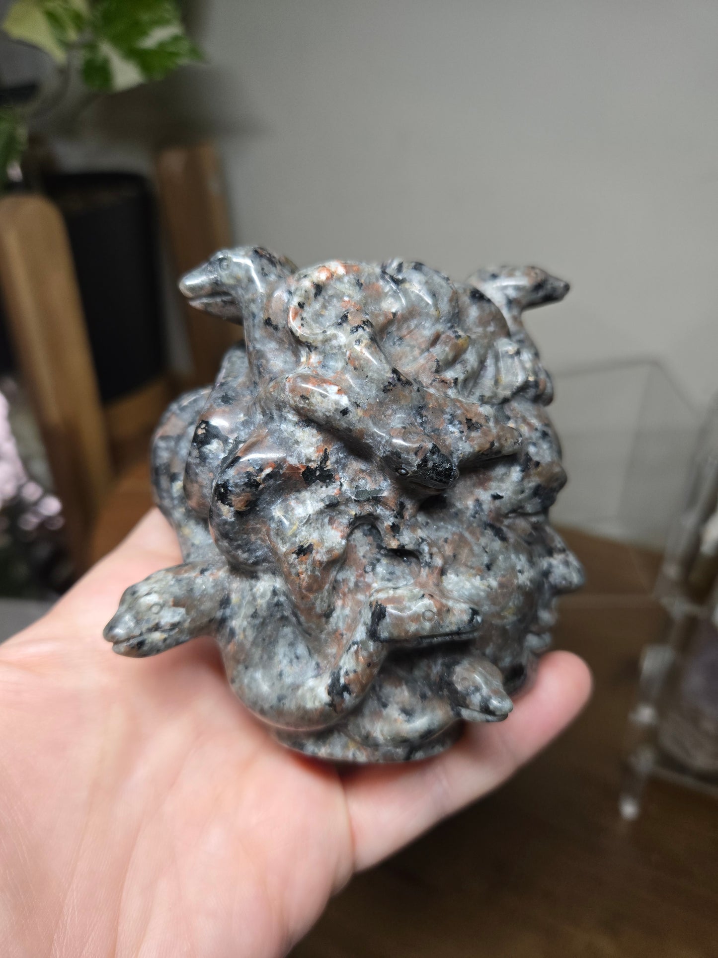 Medusa Head Yooperlite