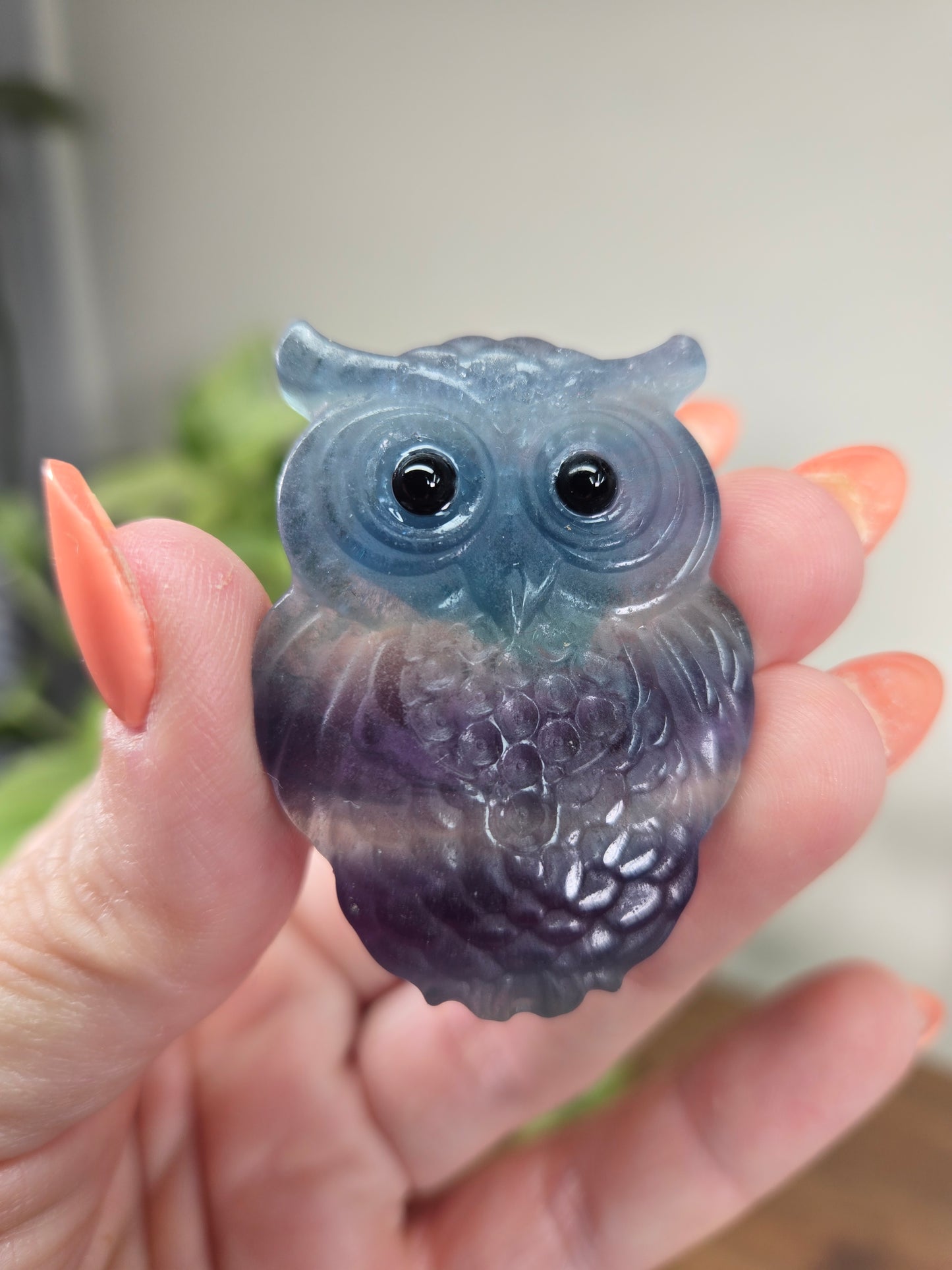 Fluorite Owls