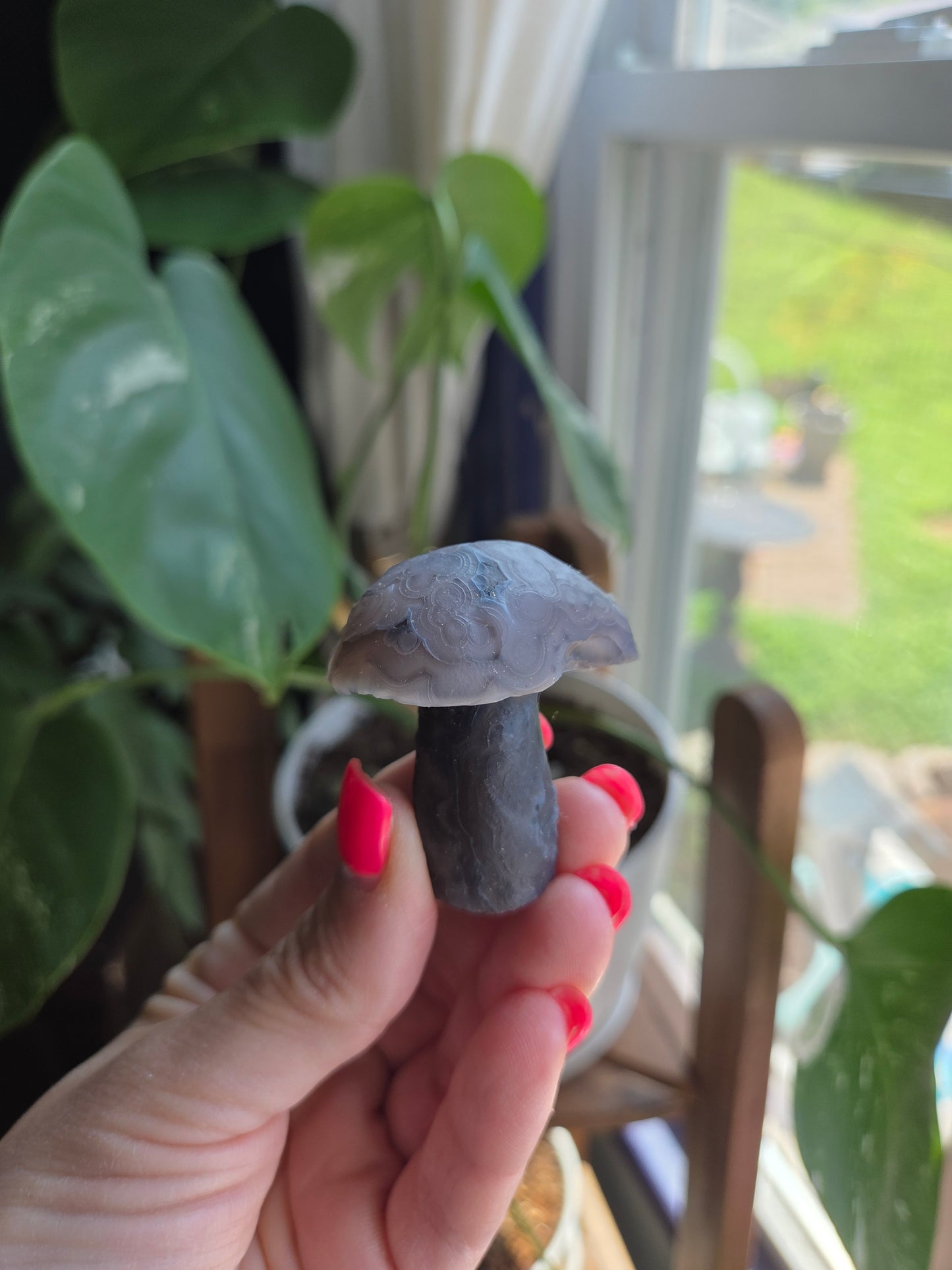 Gobi Agate Mushroom