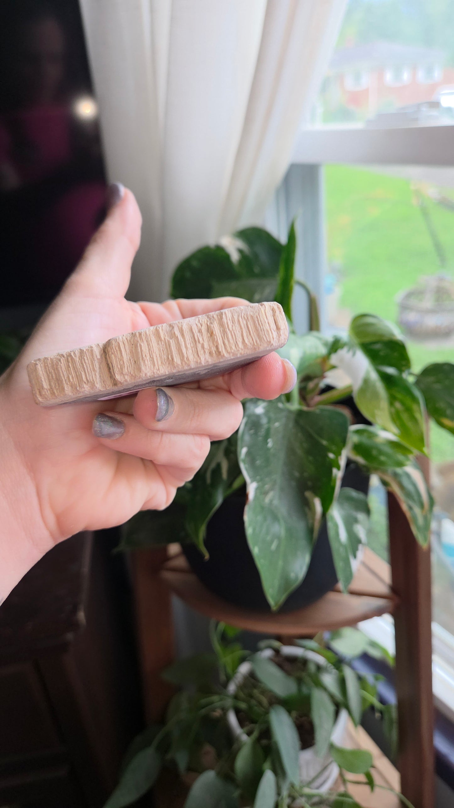 Petrified Wood Sphere Holder (12c)
