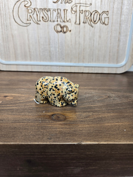 Dalmatian Jasper  Bear