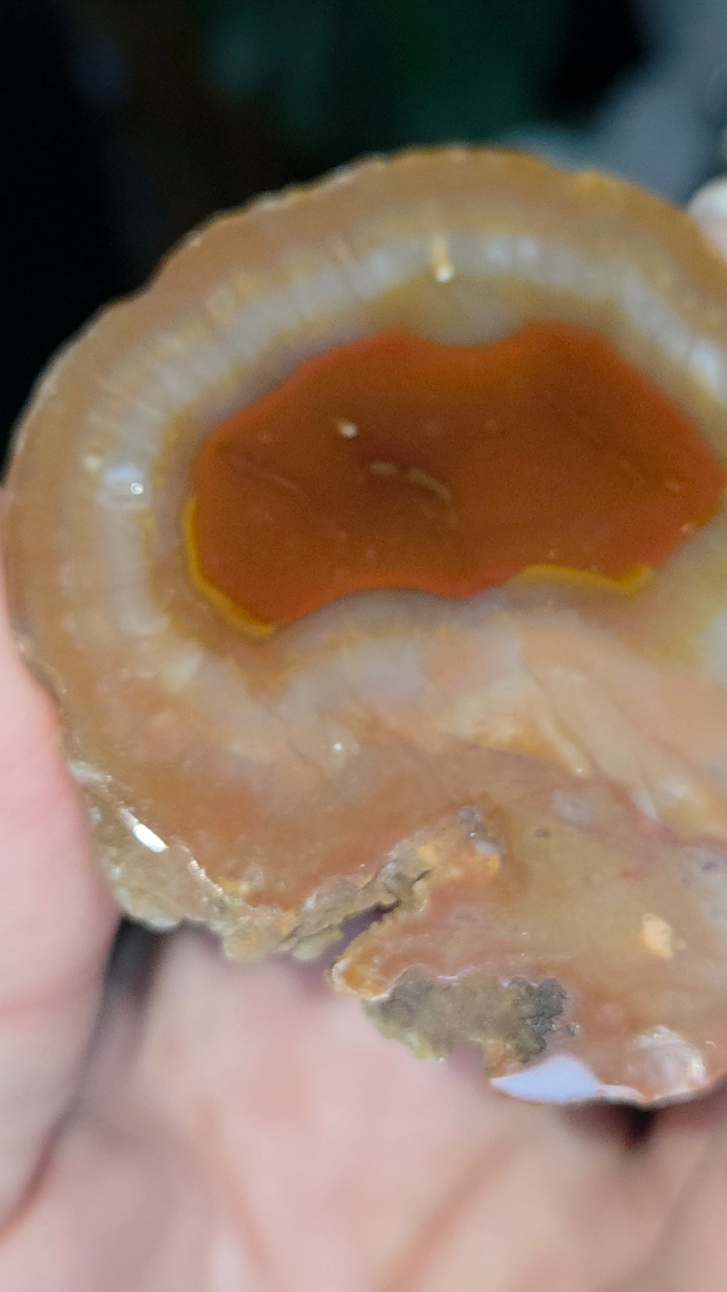 Coyamito Agate Geodes from Mexico