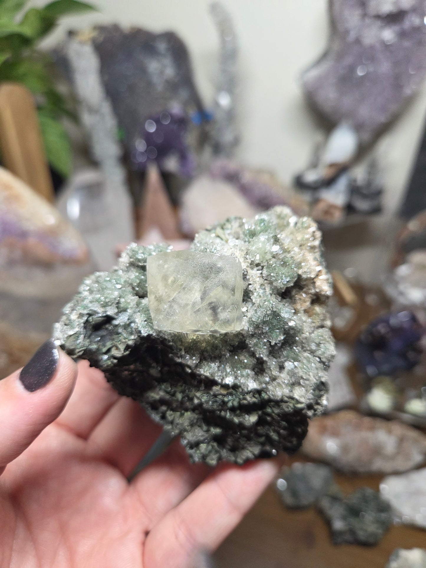 Comment to Claim Jamie