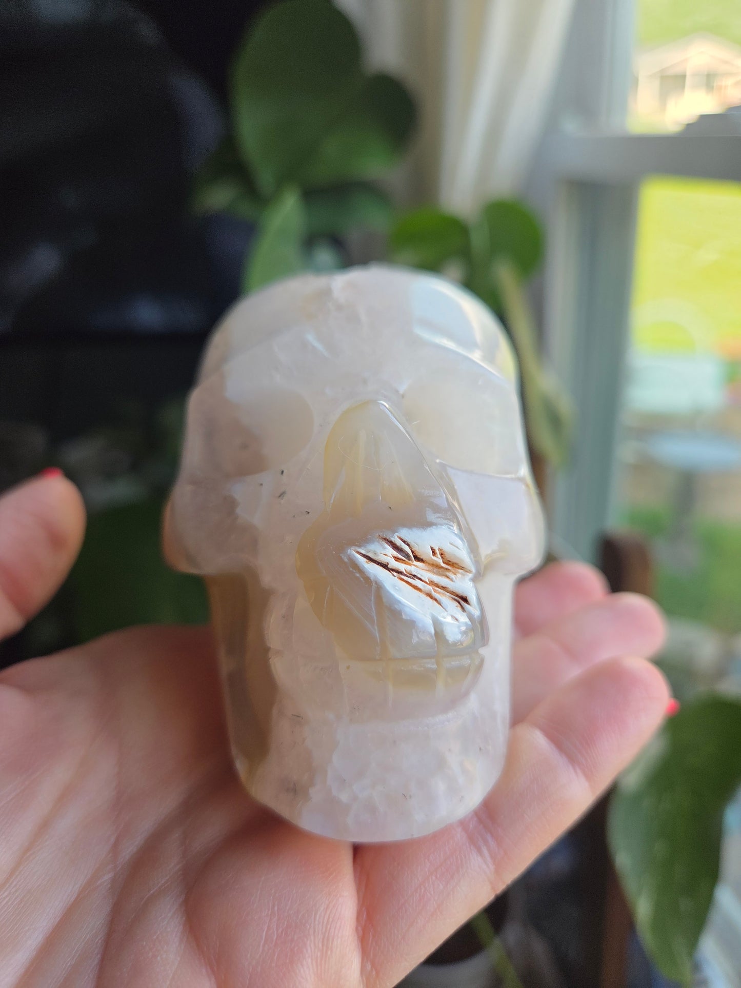 Dendritic Agate Skull