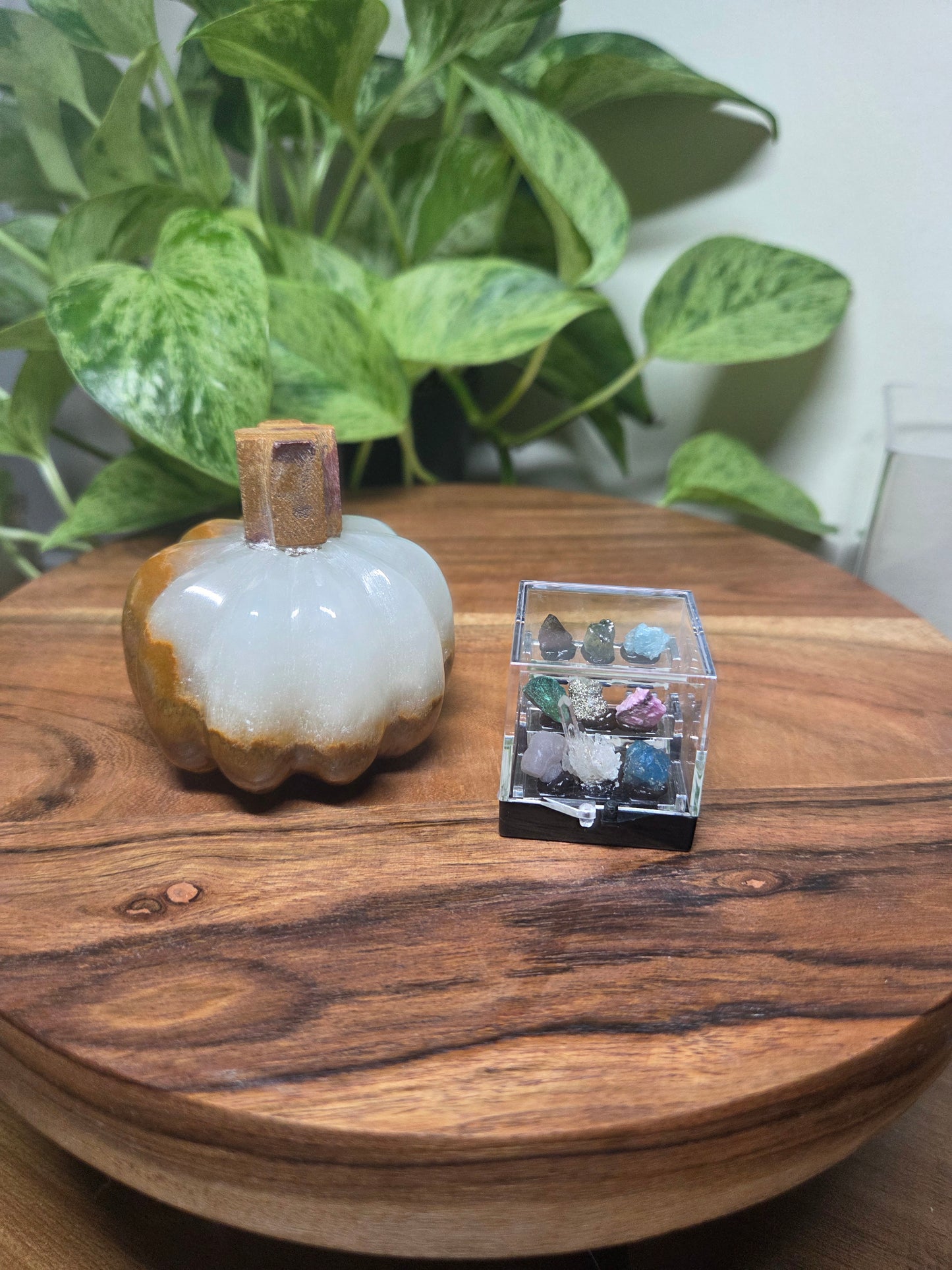 Live Sale thestarr141