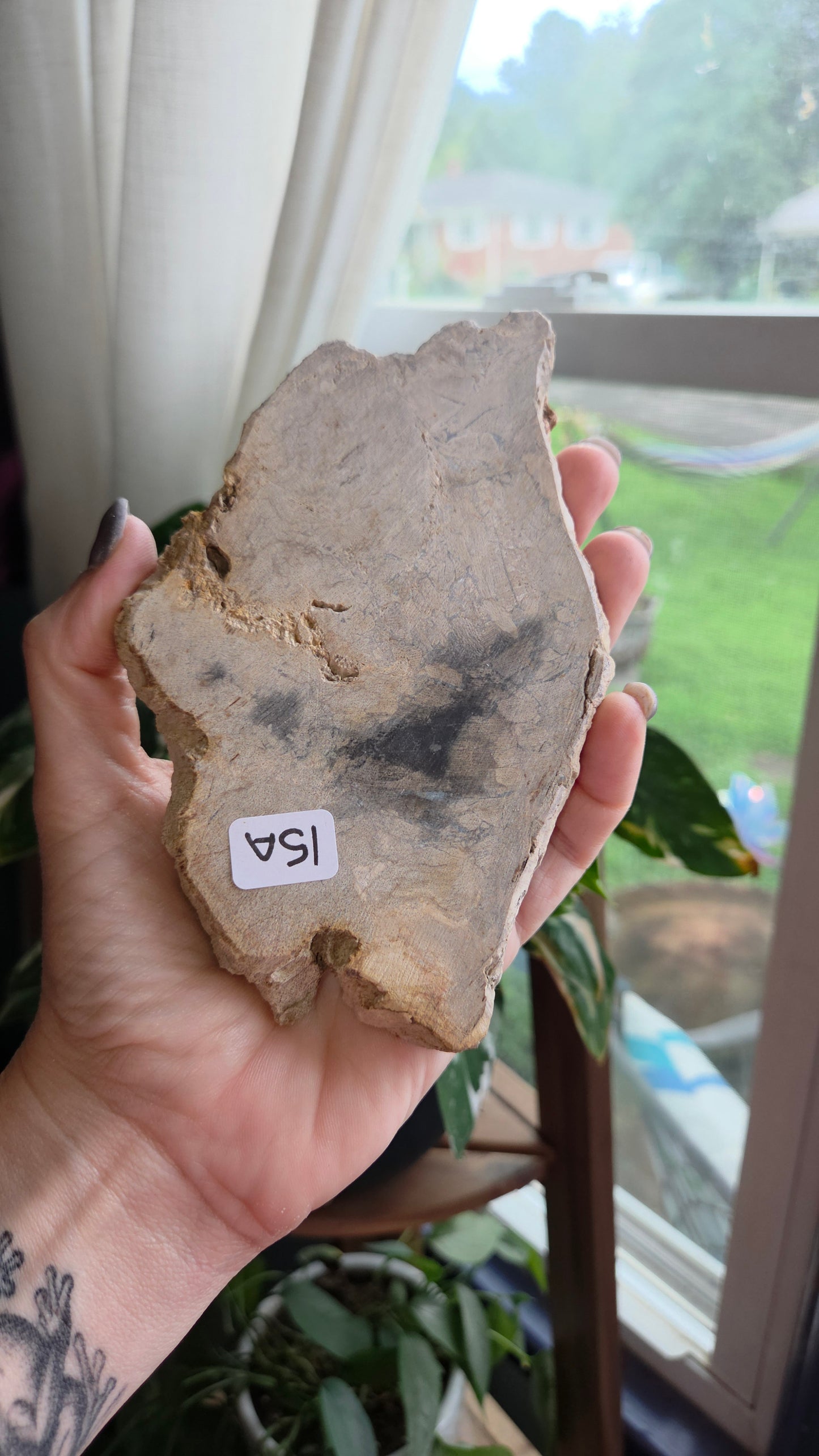 Petrified Wood Sphere Holder (15a)