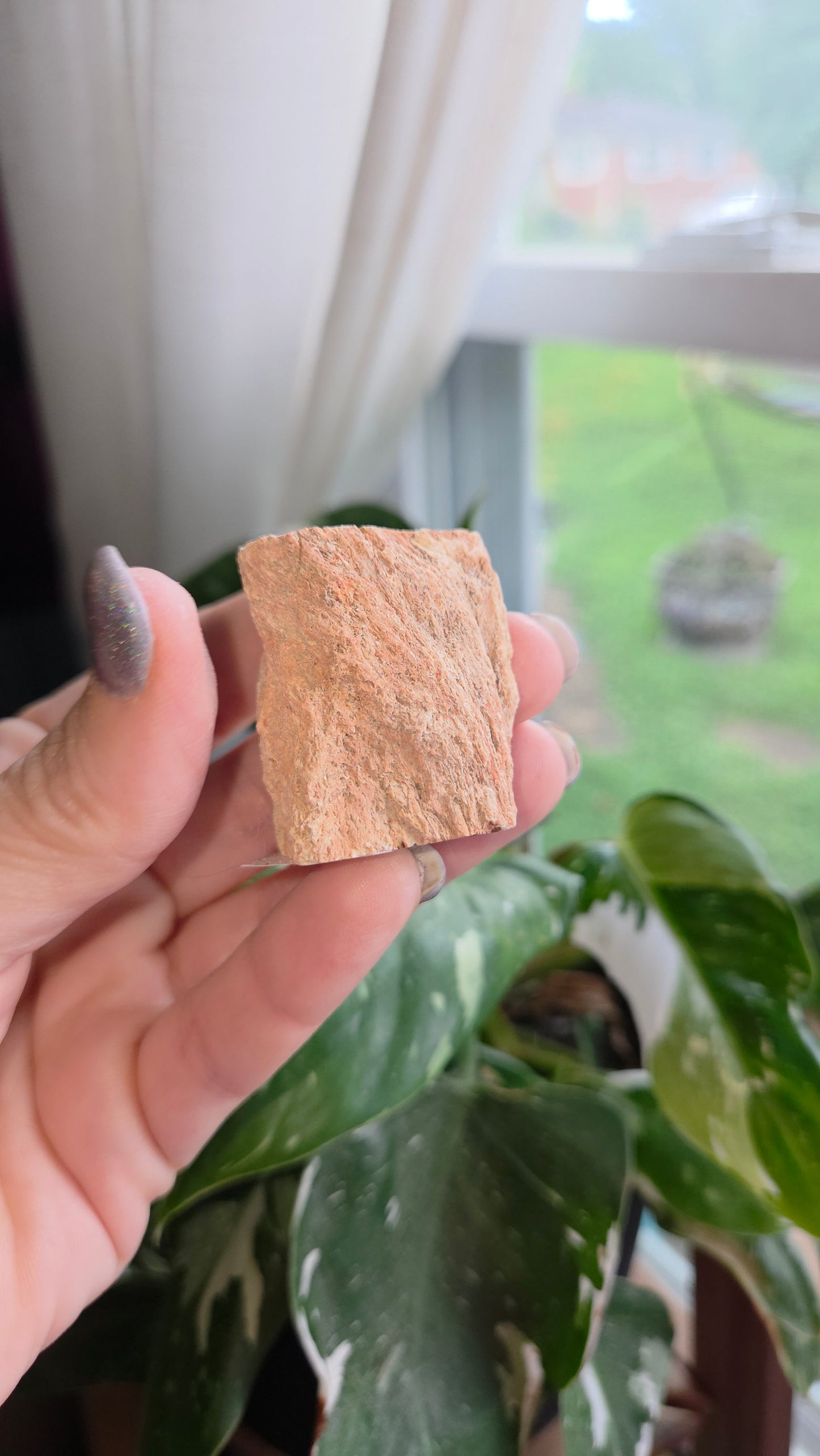 Petrified Wood Log (5)