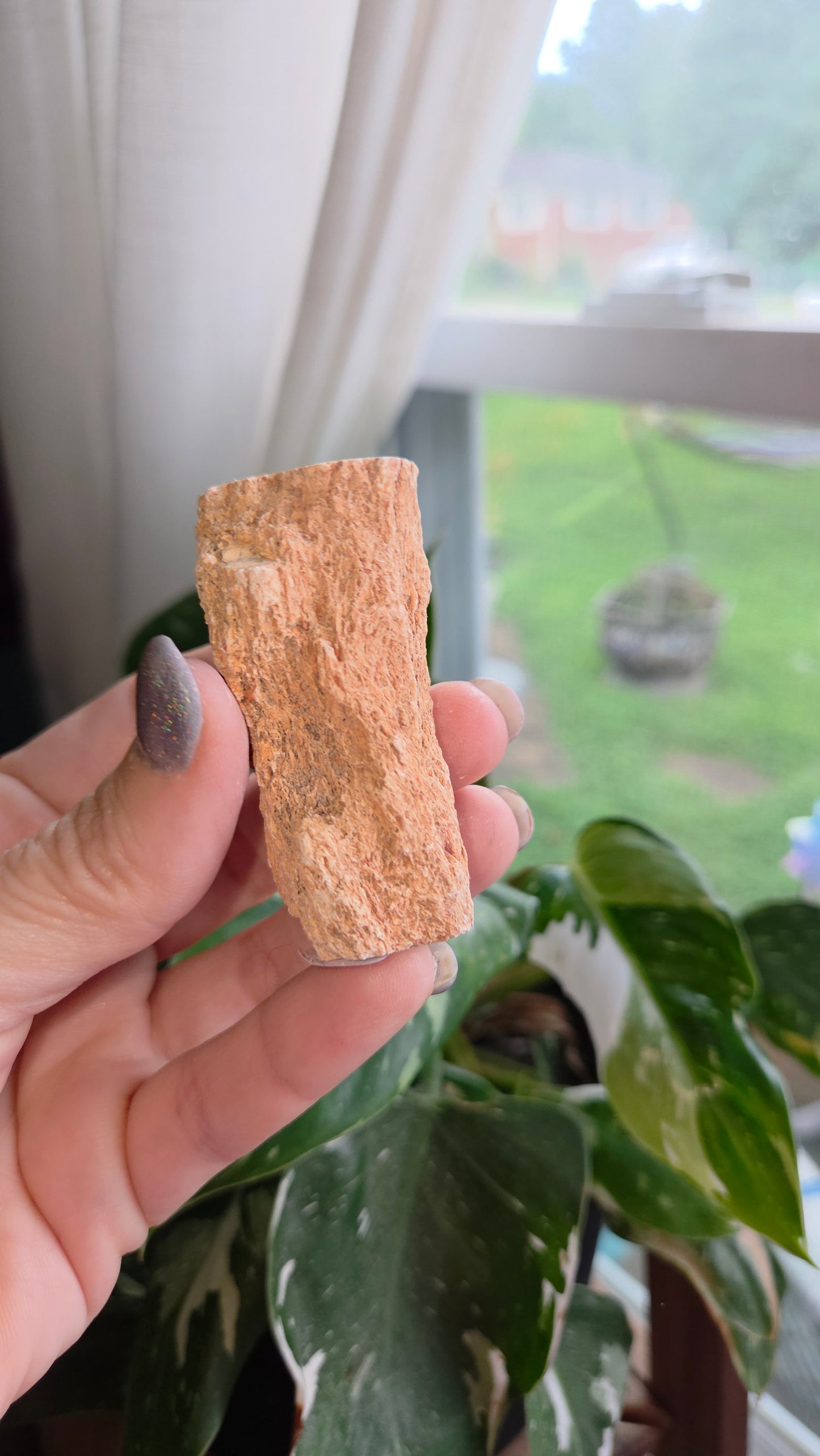 Petrified Wood Log (10z)
