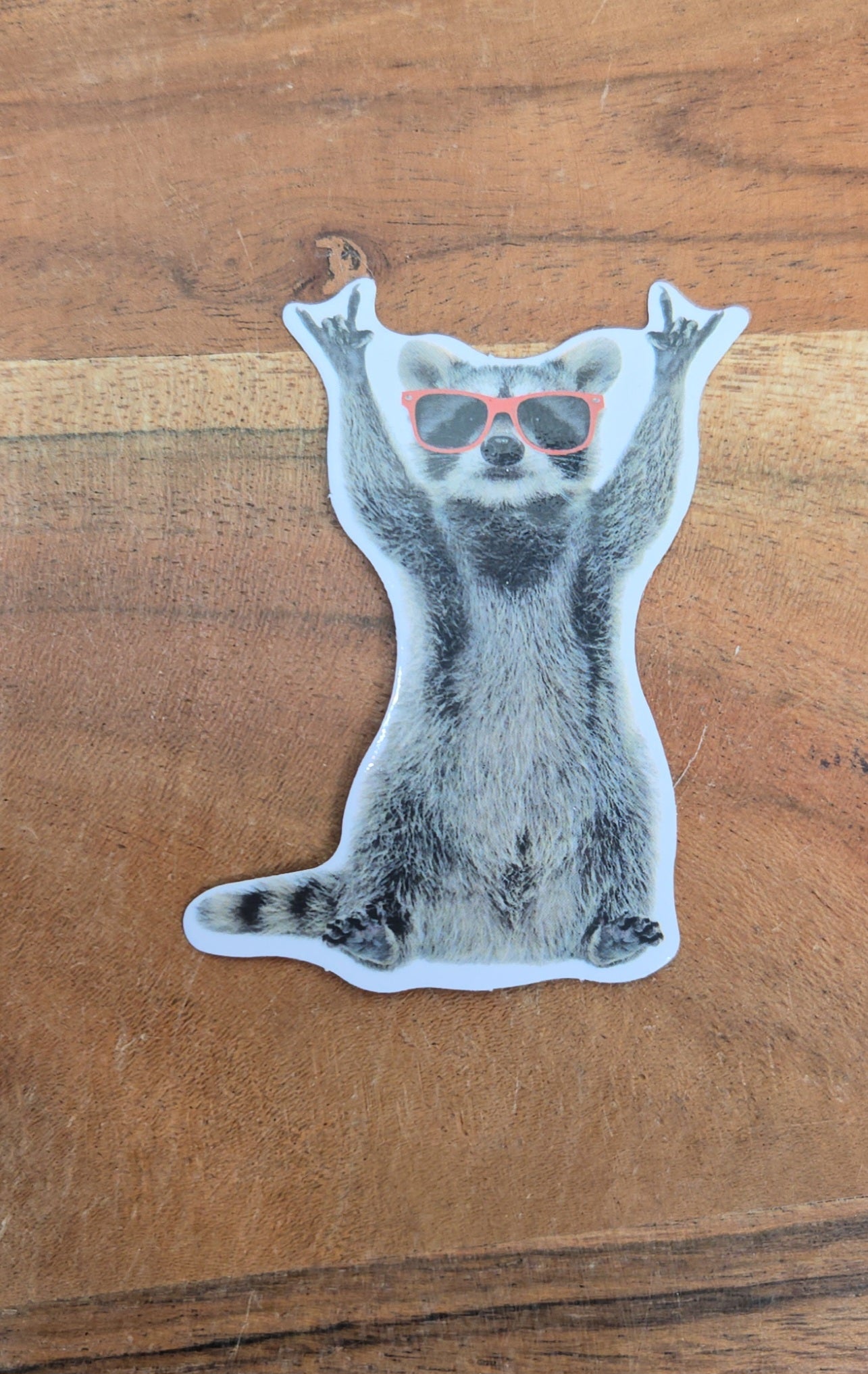 Hands Up Racoon Sticker