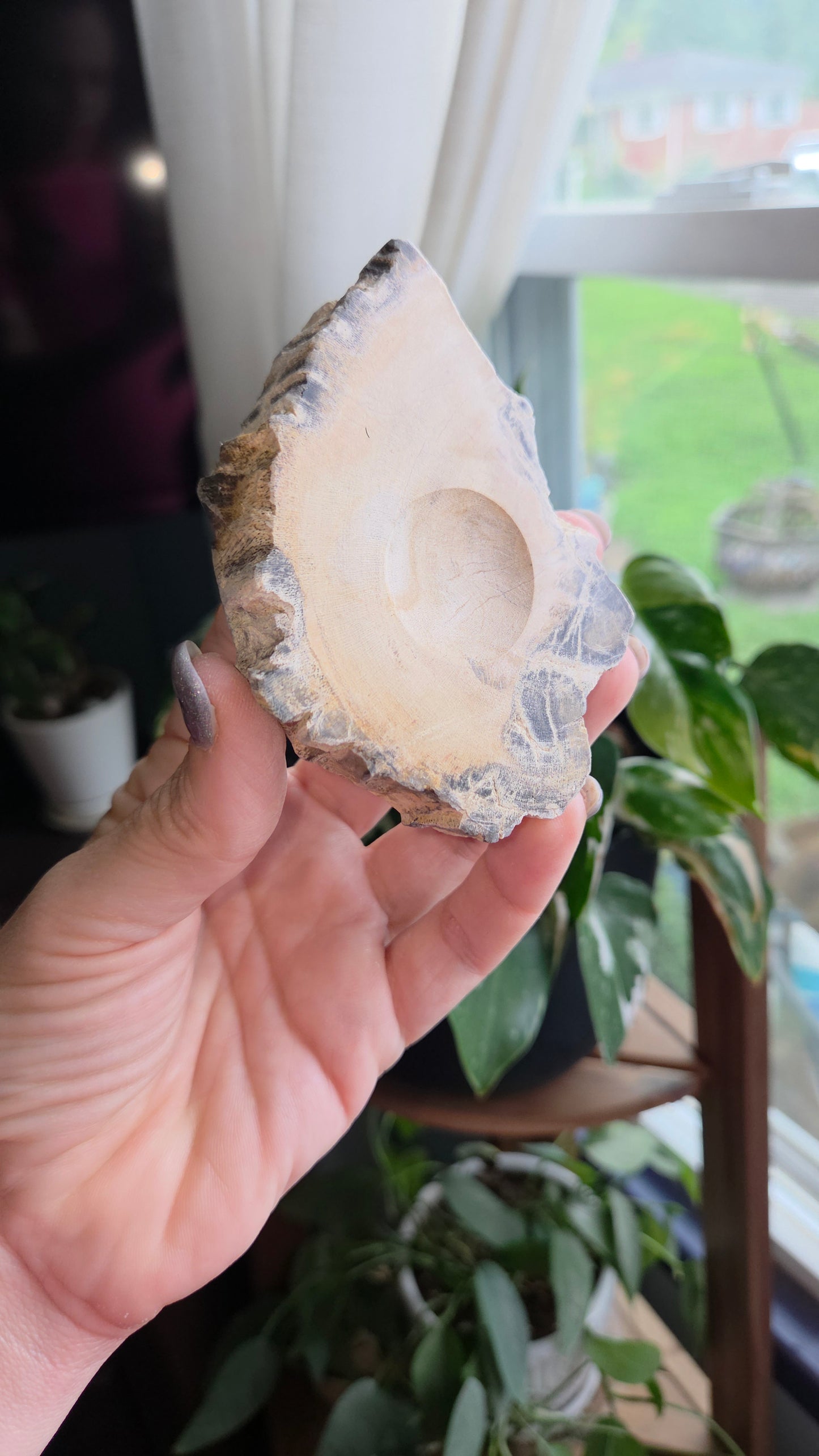 Petrified Wood Sphere Holder (12e)