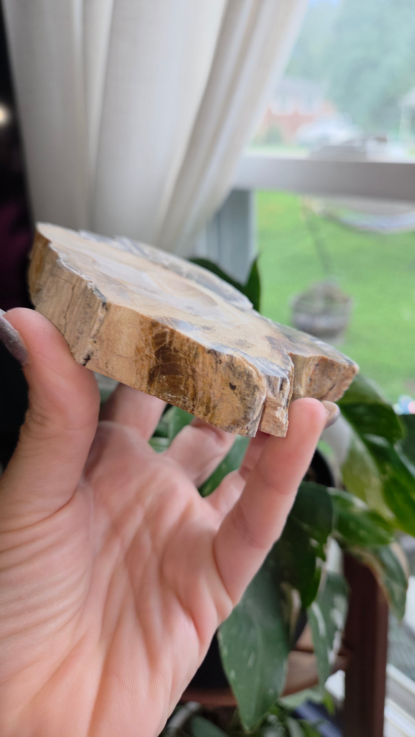 Petrified Wood Sphere Holder (15b)