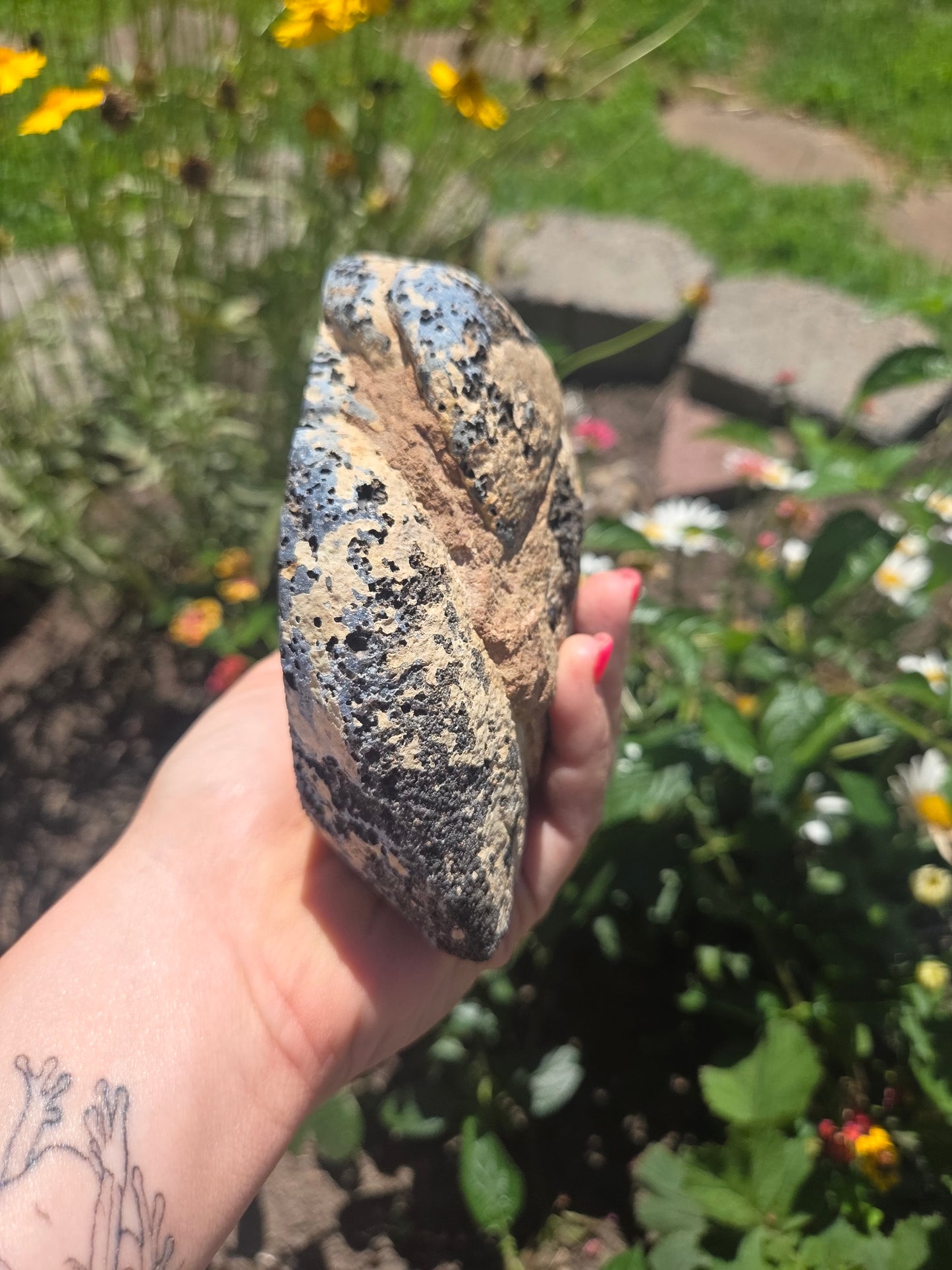 Black Agate Geode with Exposed Rutile