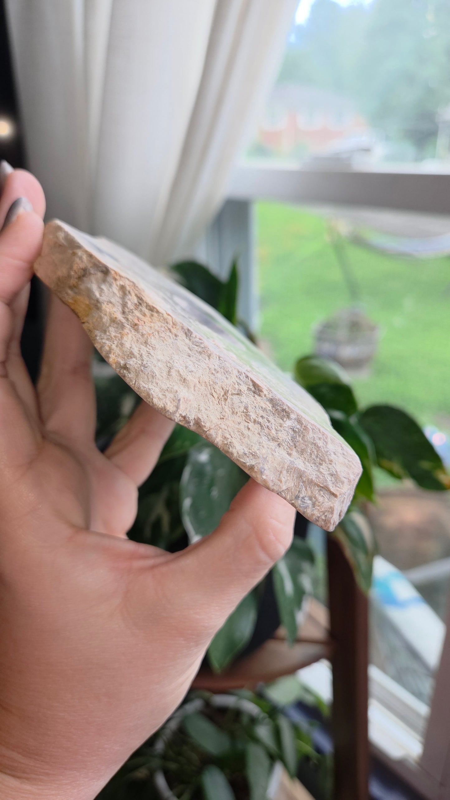 Petrified Wood Sphere Holder (15a)