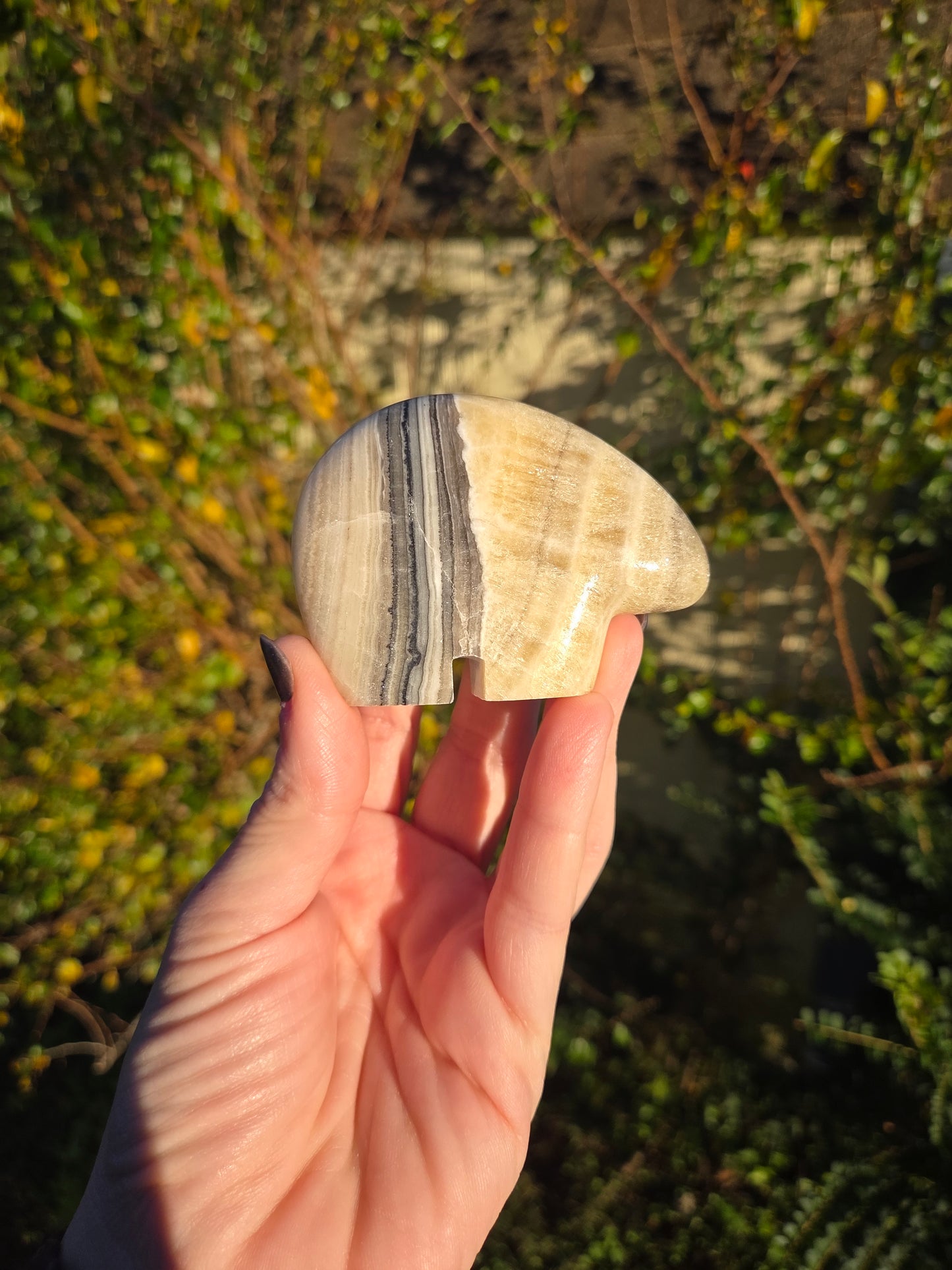 Banded Onyx Zuni Bear