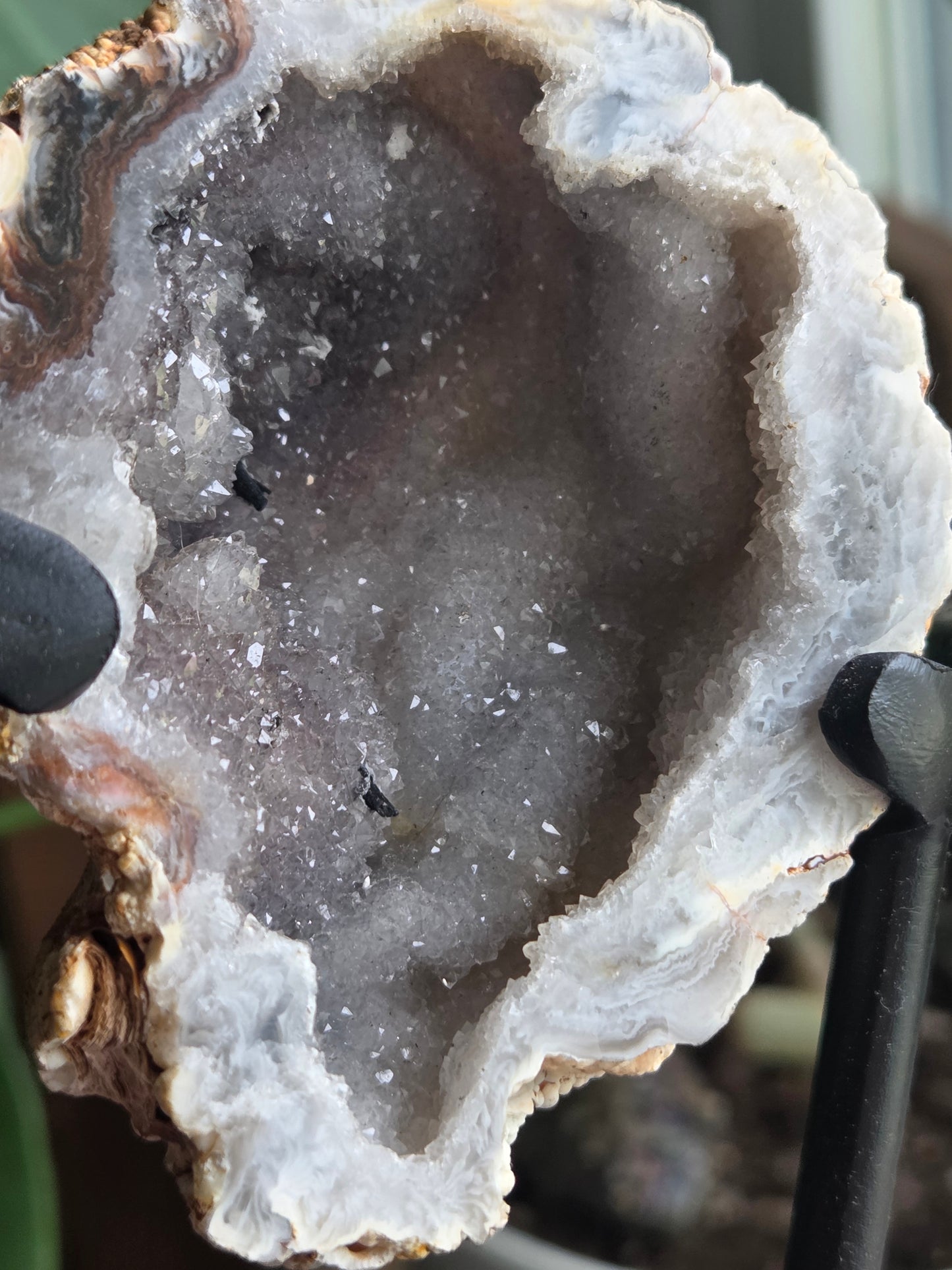 Butterfly Geode
