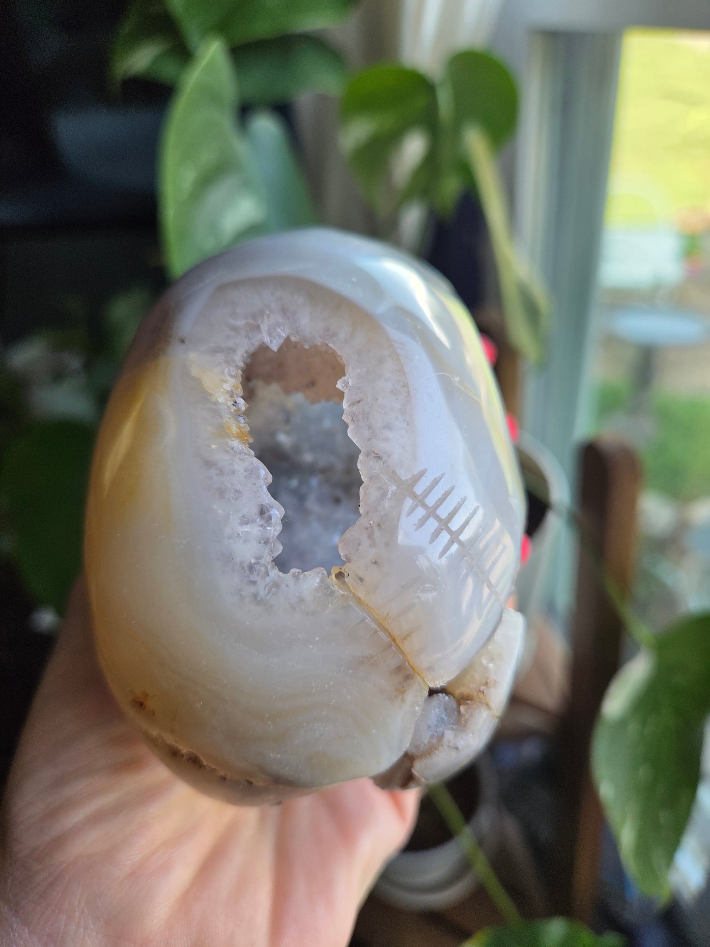 Dendritic Agate Skull