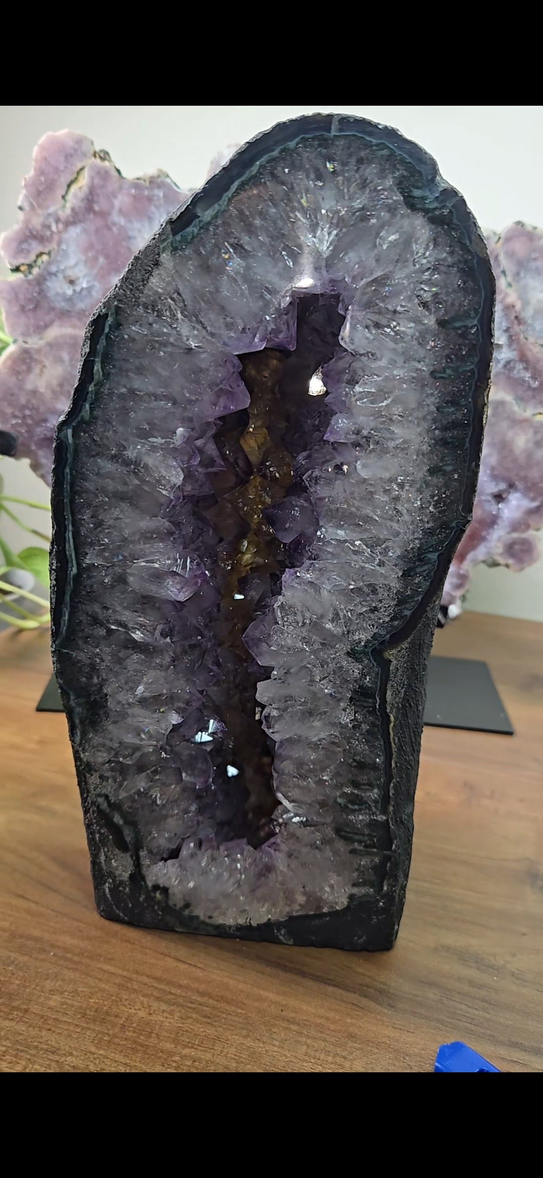 Comment to Claim Michelle Cathedral