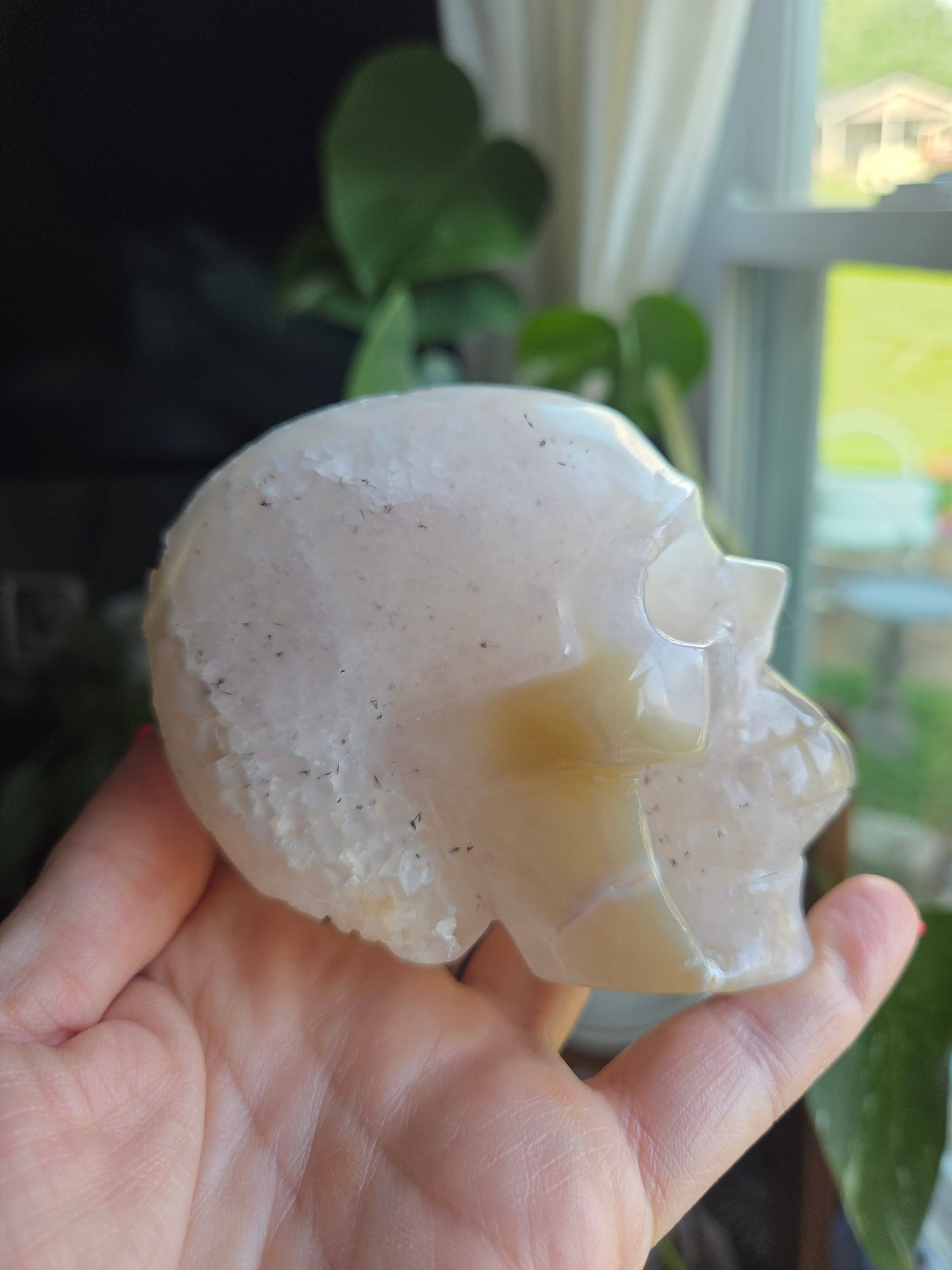 Dendritic Agate Skull