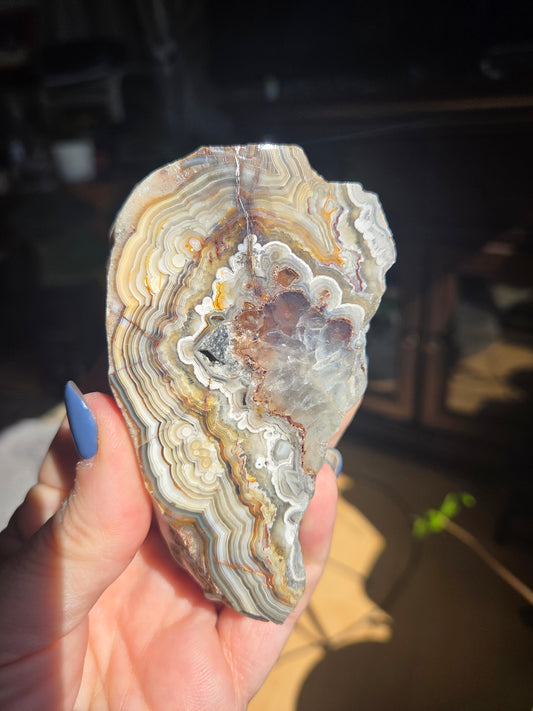 Mexican Crazy Lace Slabs