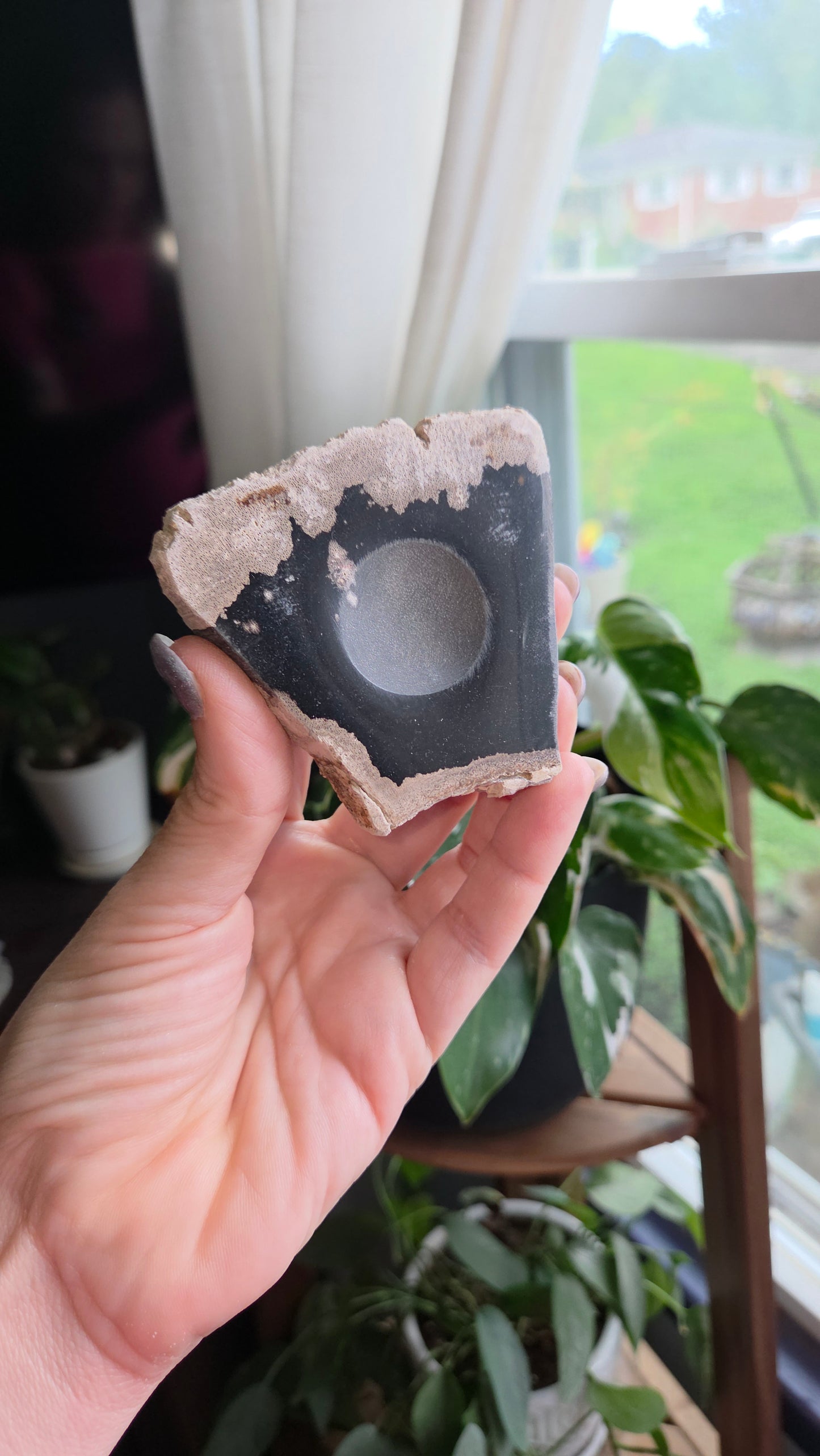 Petrified Wood Sphere Holder (12c)