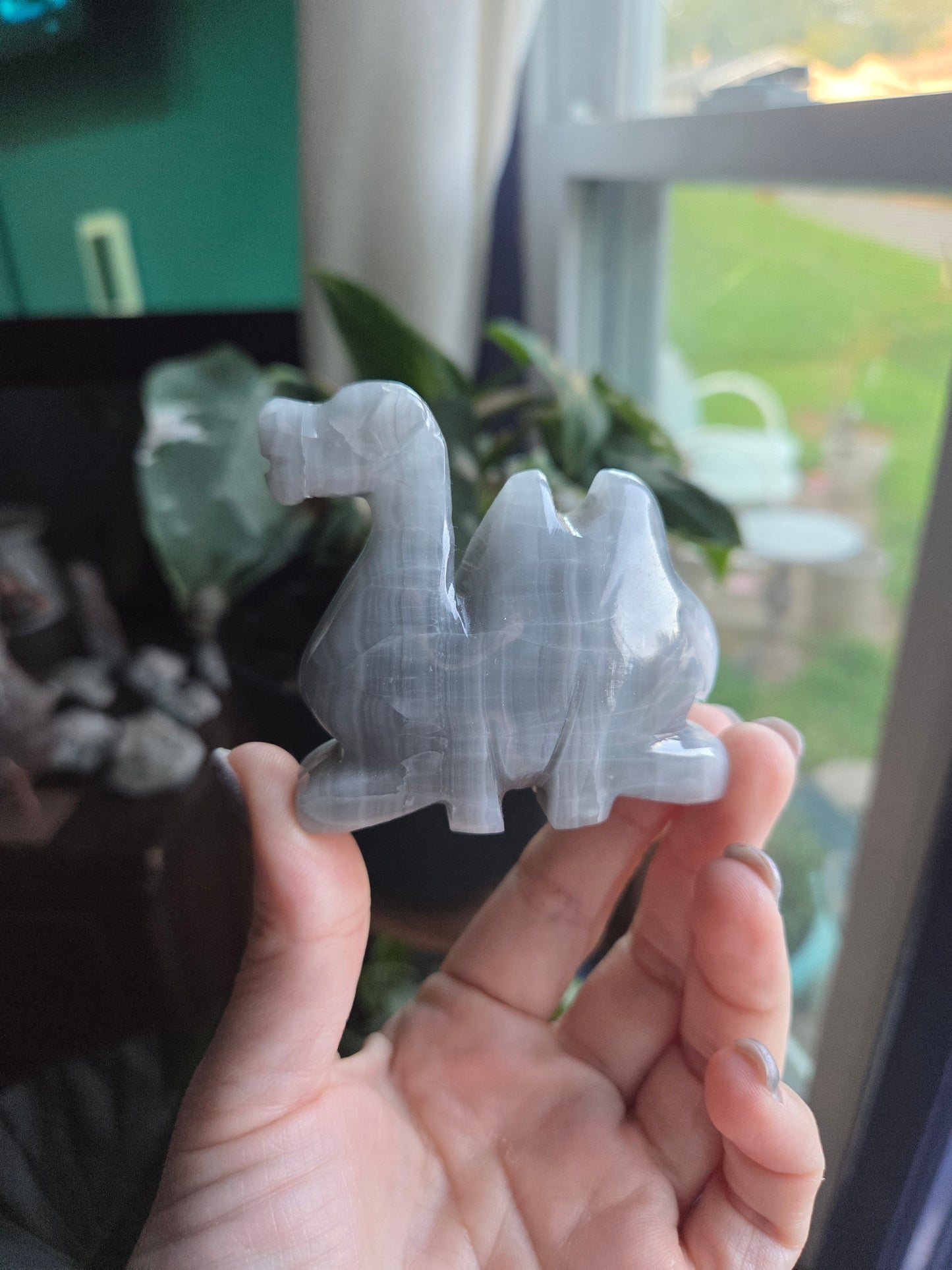 Camel (calcite)