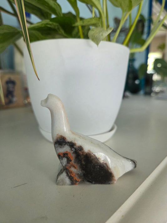 Dino (onyx)(F)
