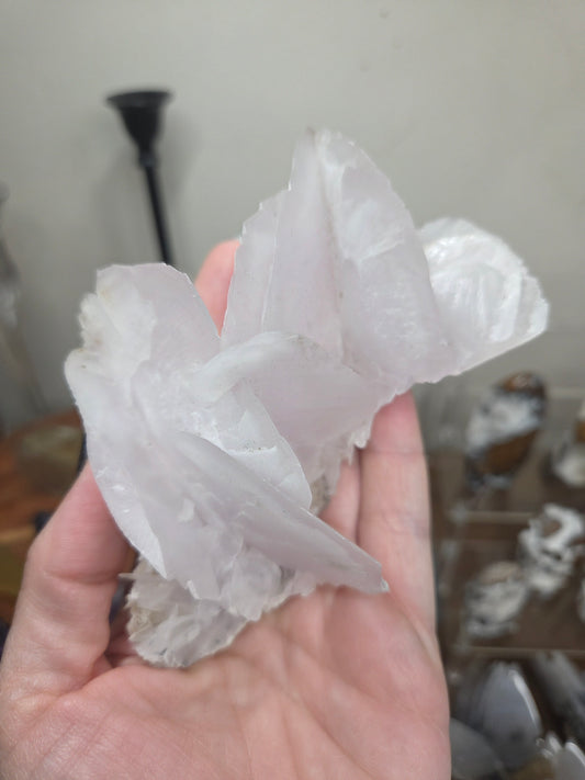 ZComment to Claim NK