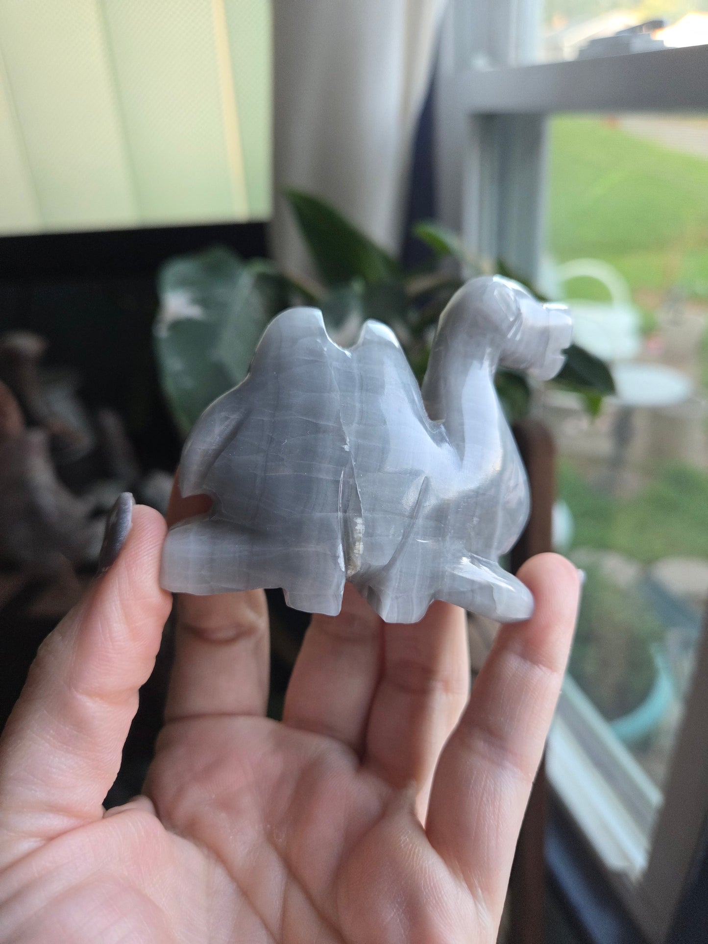 Camel (calcite)