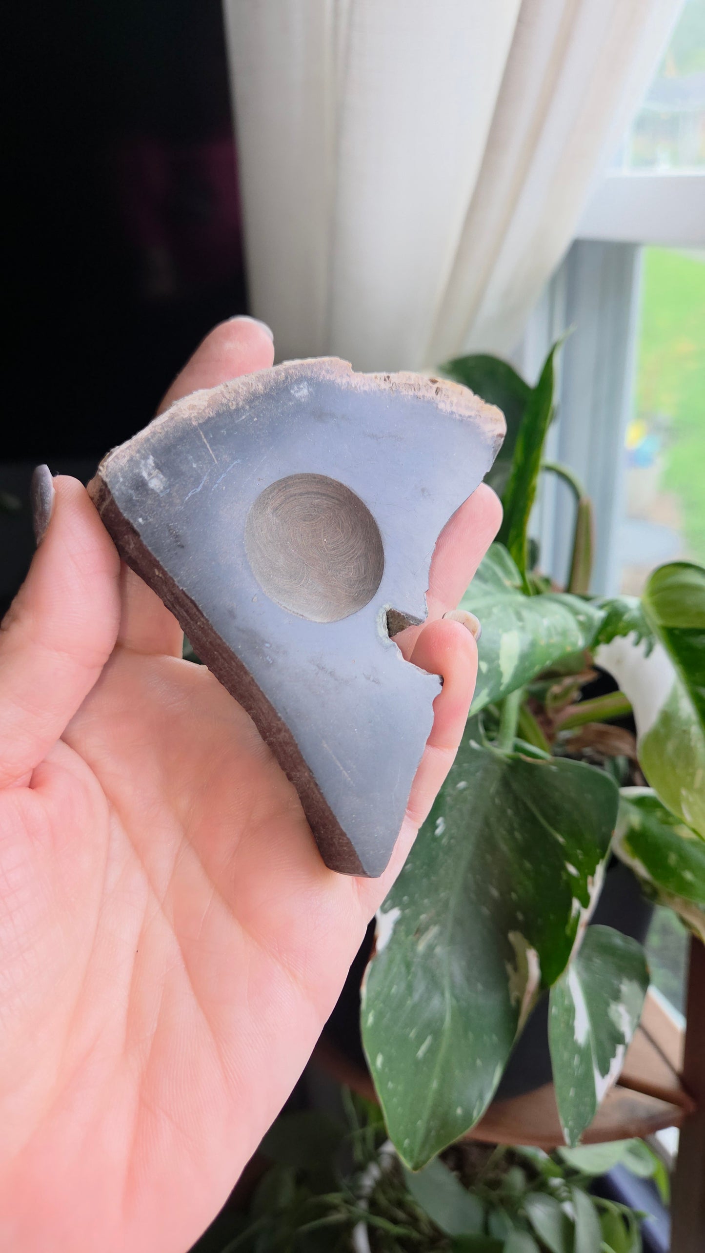 Petrified Wood Sphere Holder (12x)