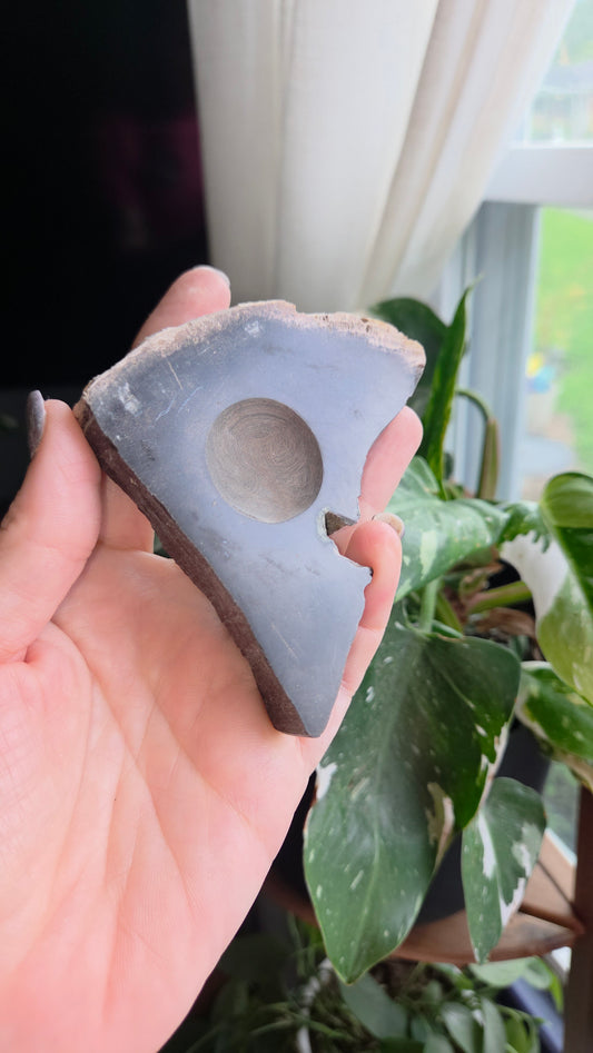 Petrified Wood Sphere Holder (12x)