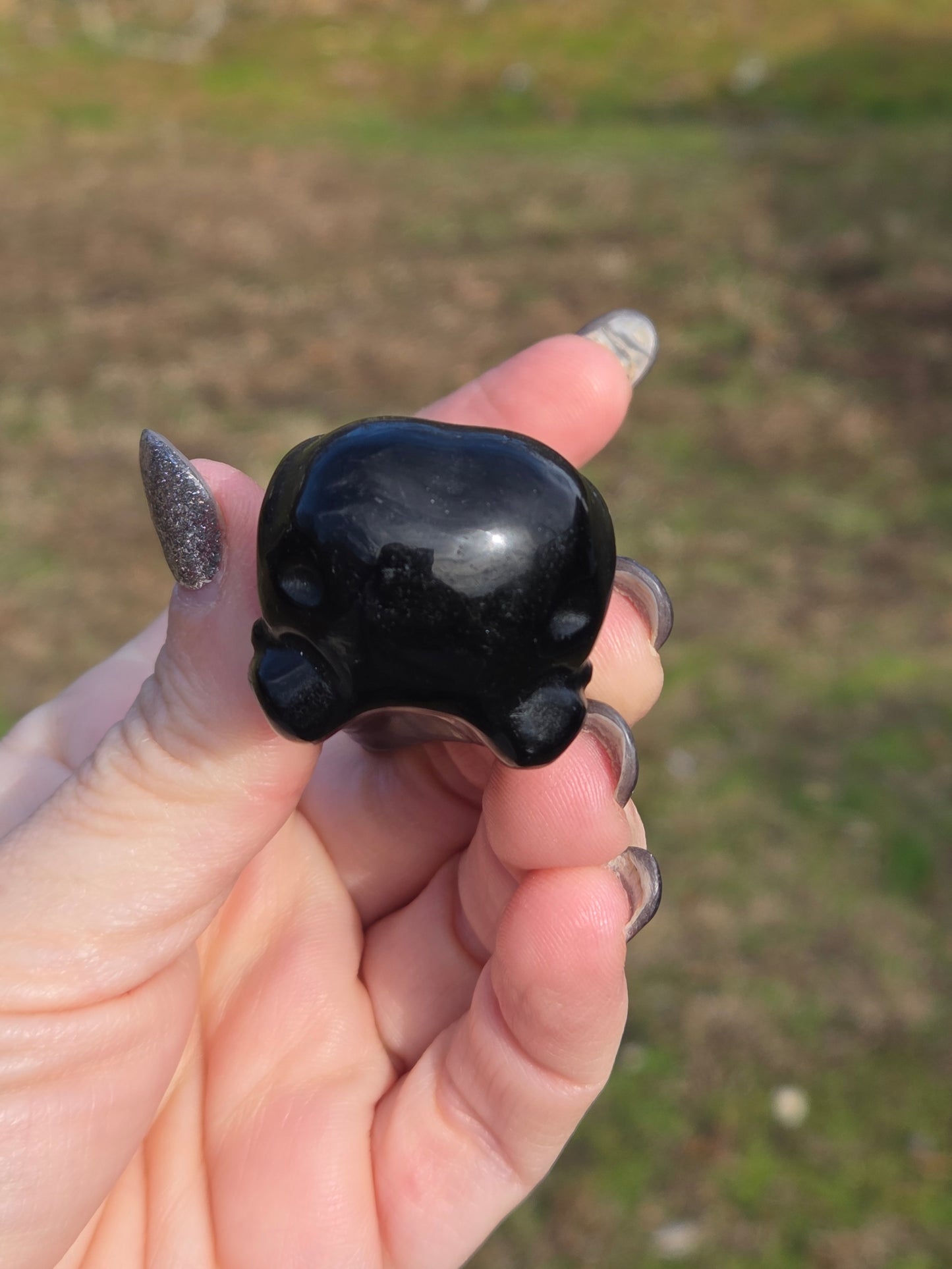 Black Obsidian Raven Head