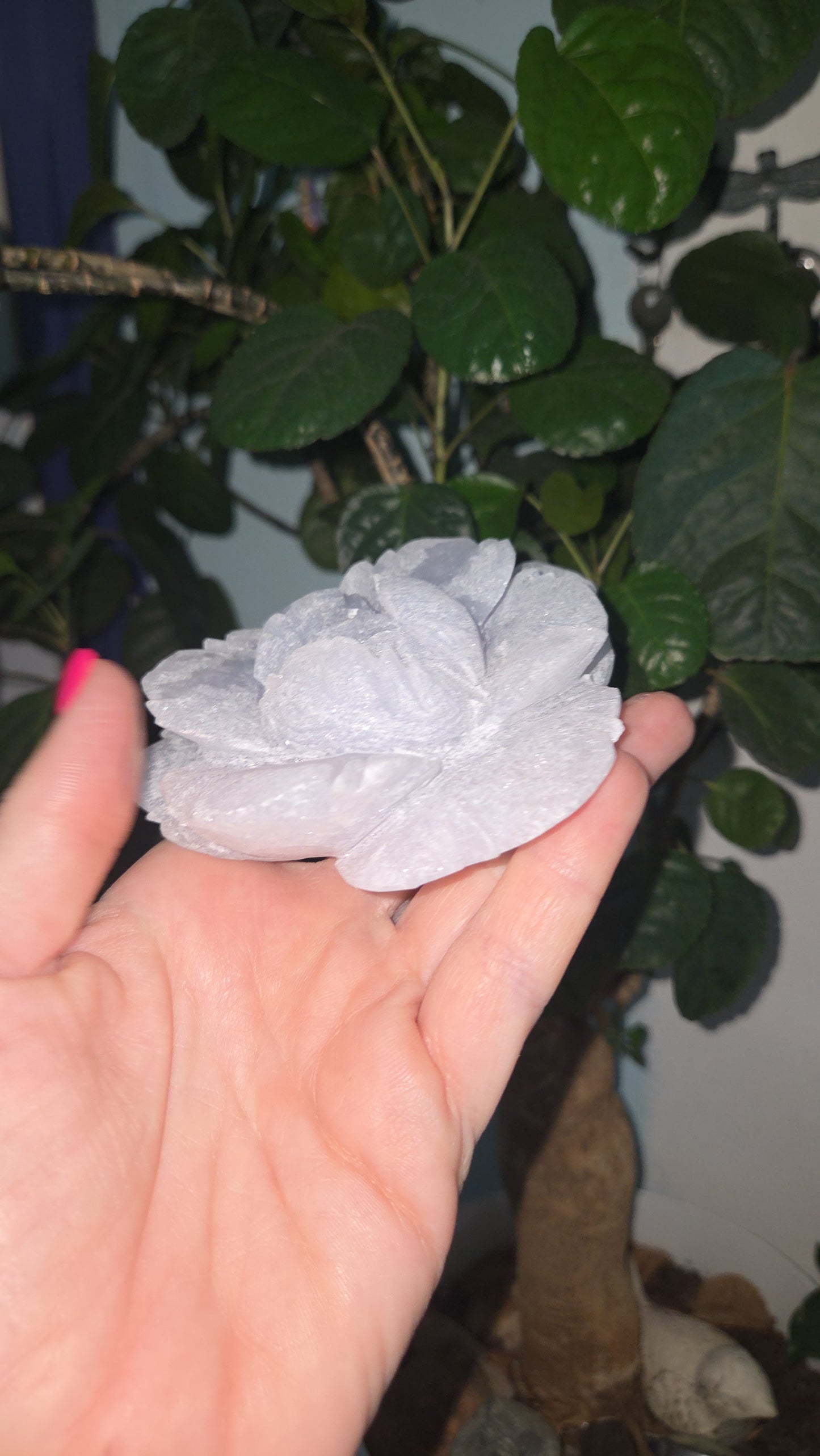 Angelite Peony