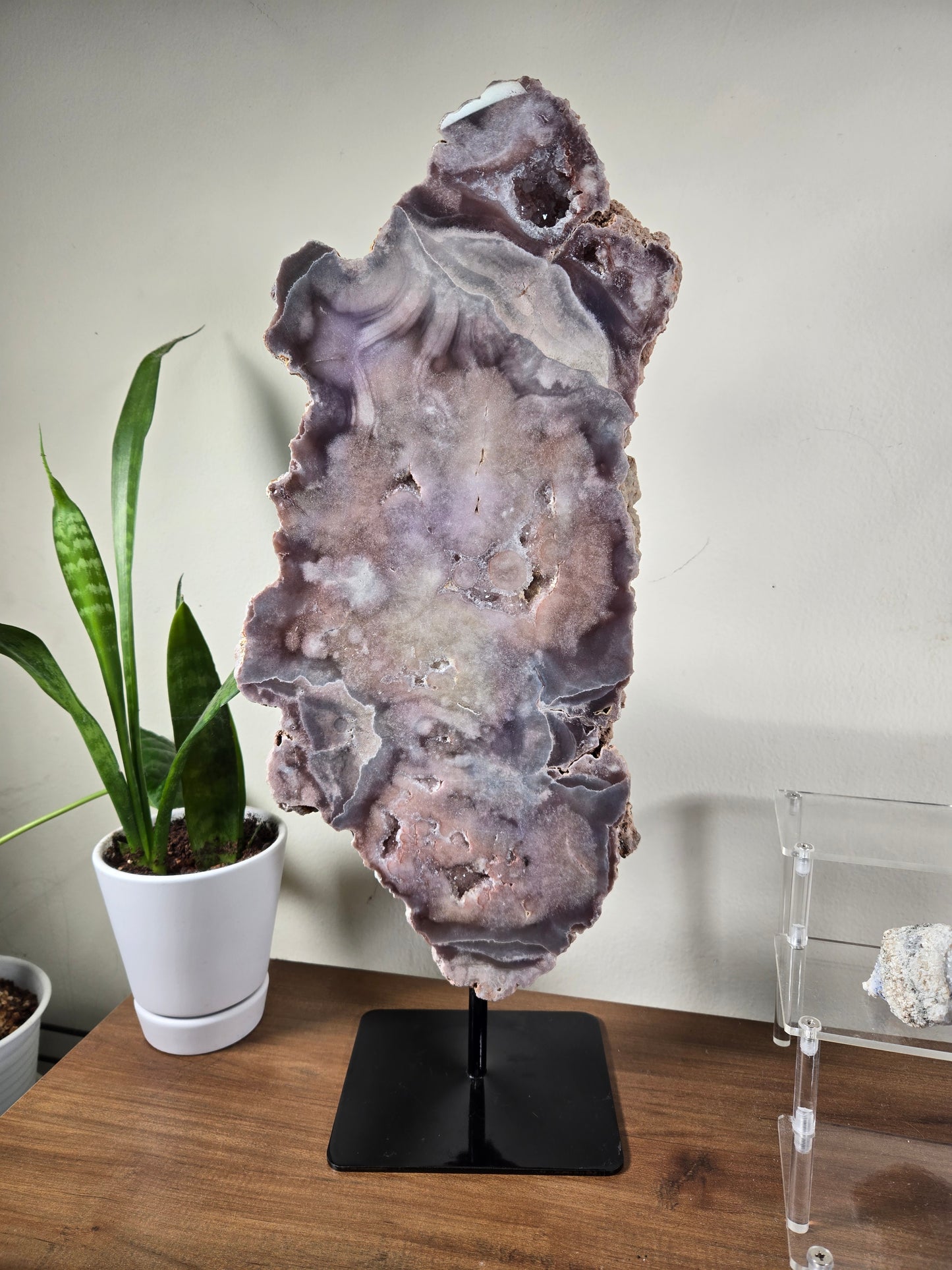 Comment to Claim Michelle 4/5