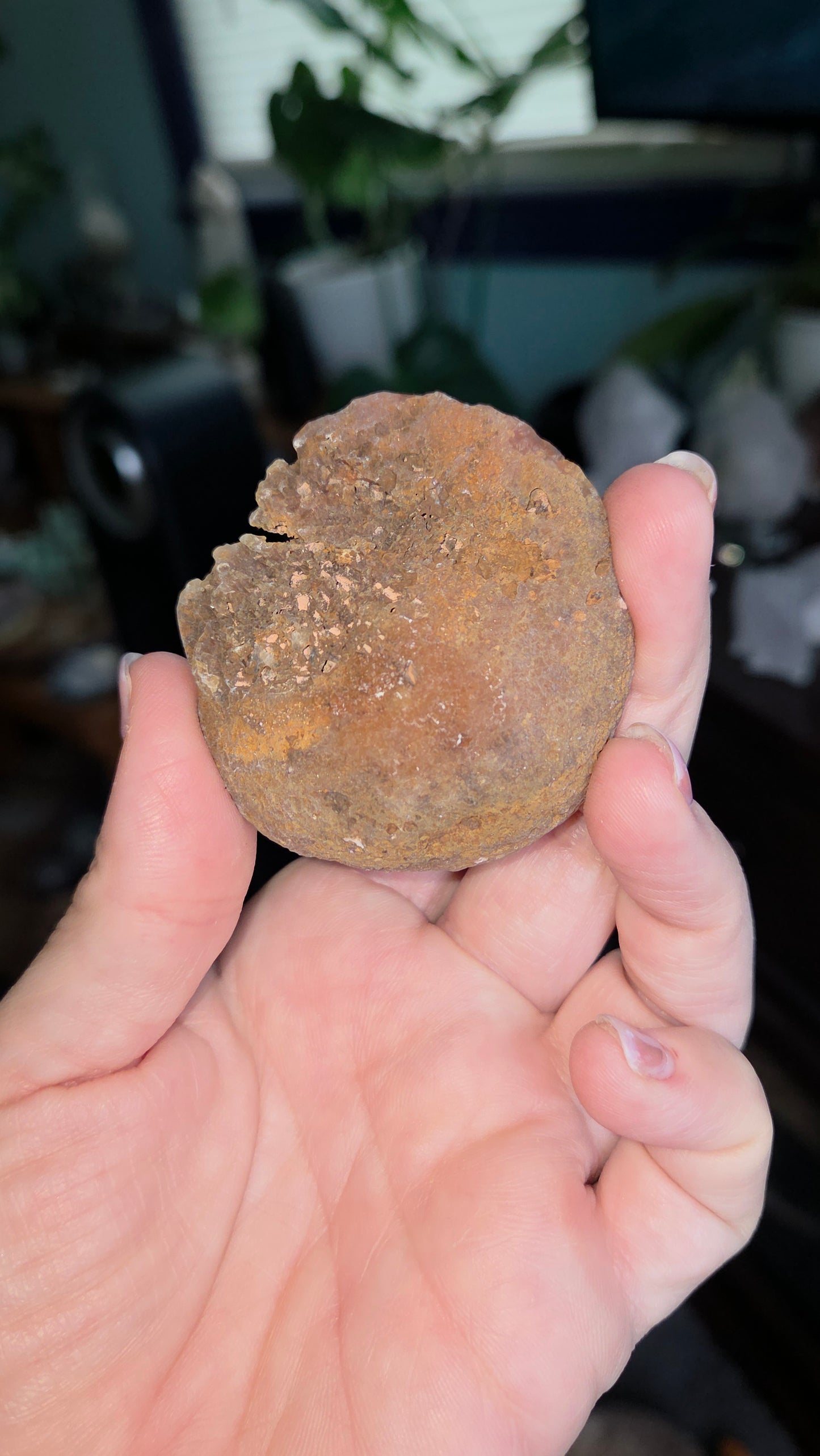 Coyamito Agate Geodes from Mexico