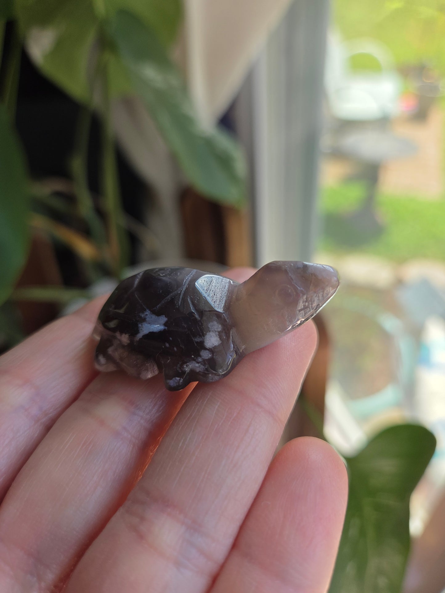 Black Flower Agate Turtle