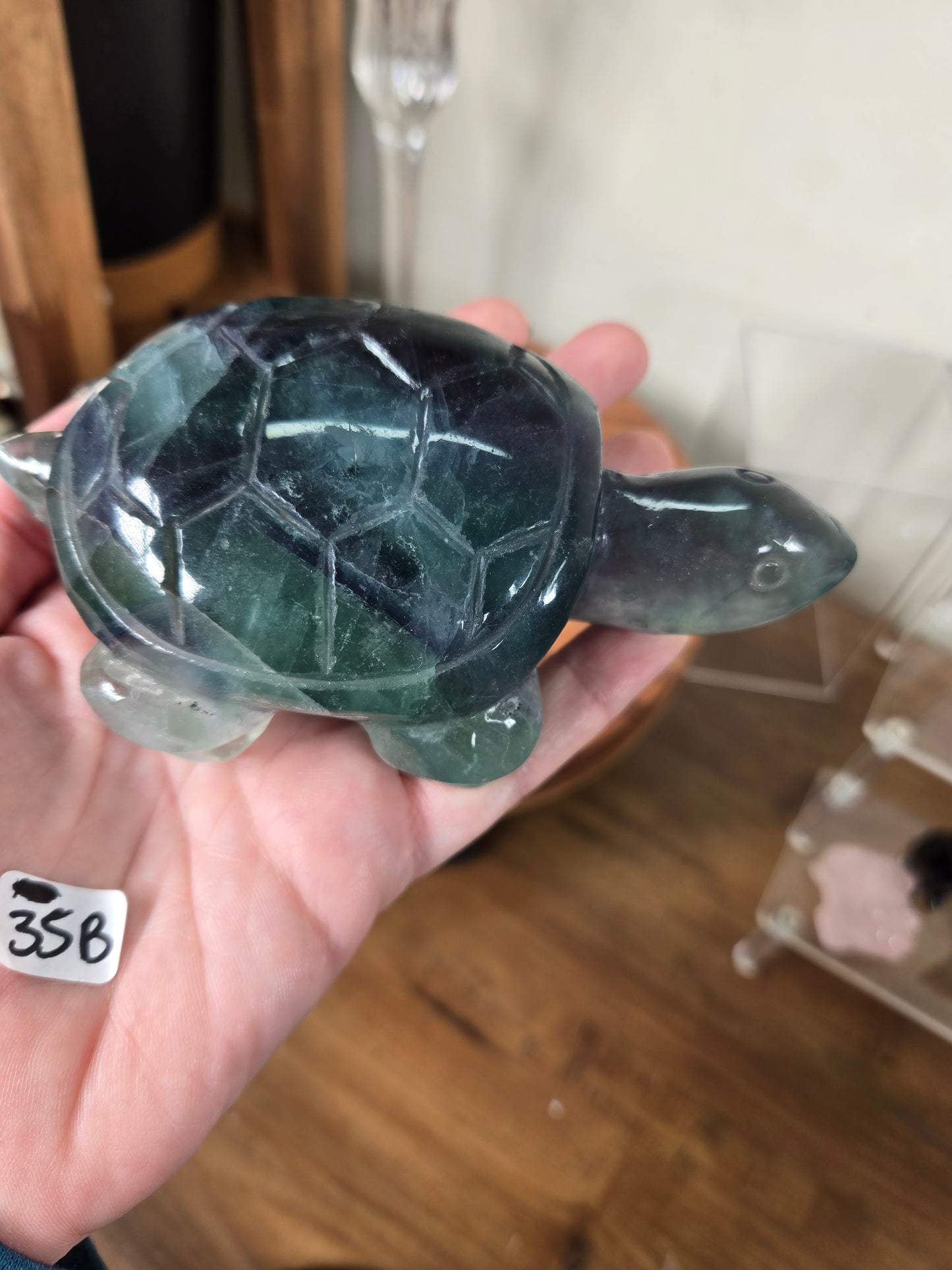 Fluorite Turtles