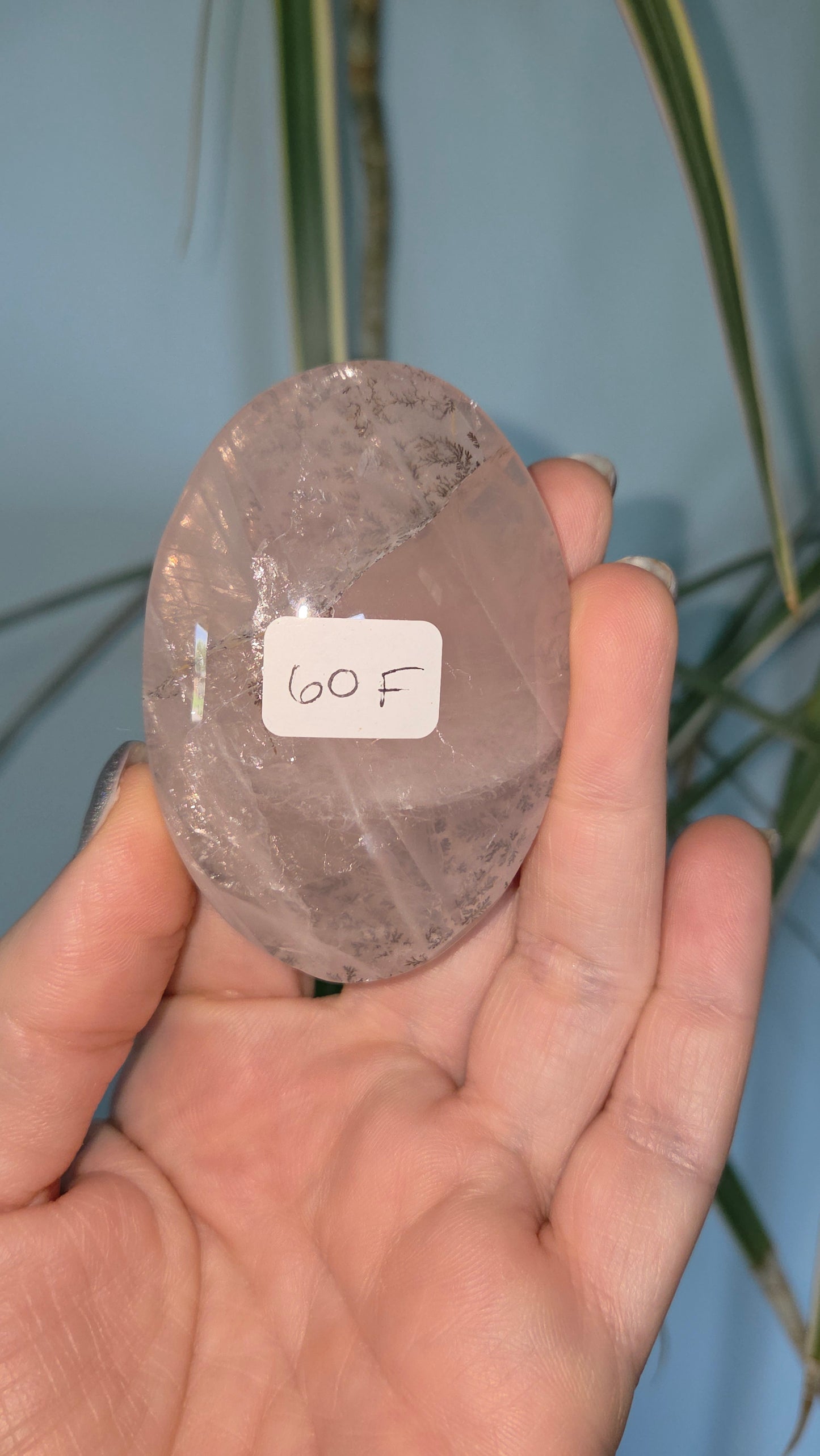 Dendritic Rose Quartz Palm