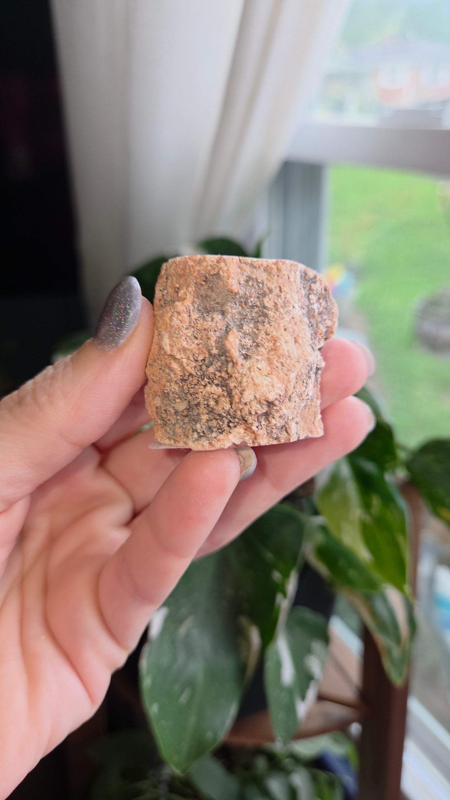 Petrified Wood Log (8f)