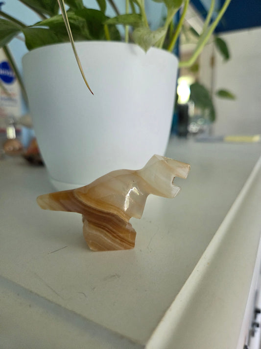 Dino (onyx)(E)
