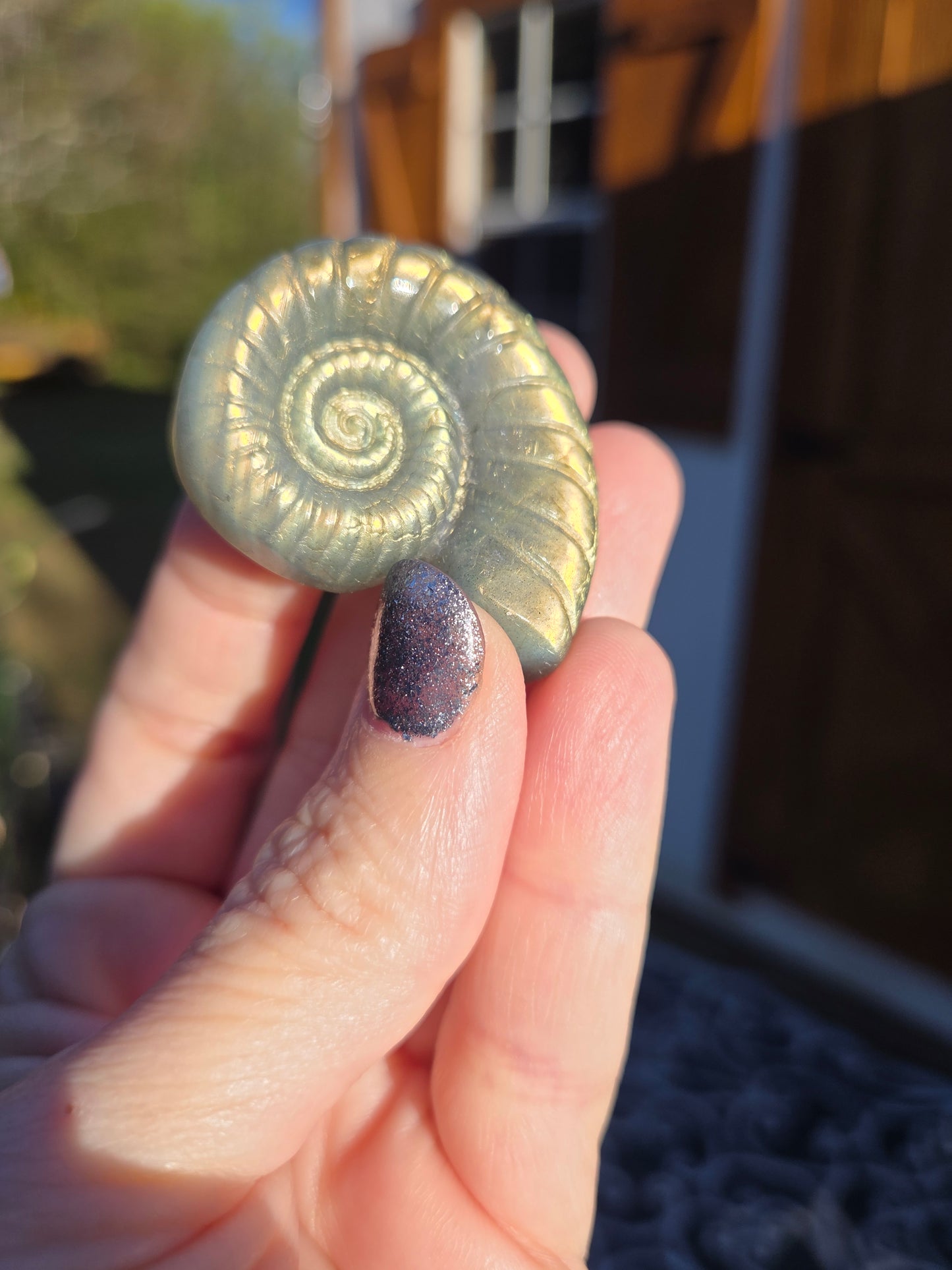 Comment to Claim Jenn-Jenn