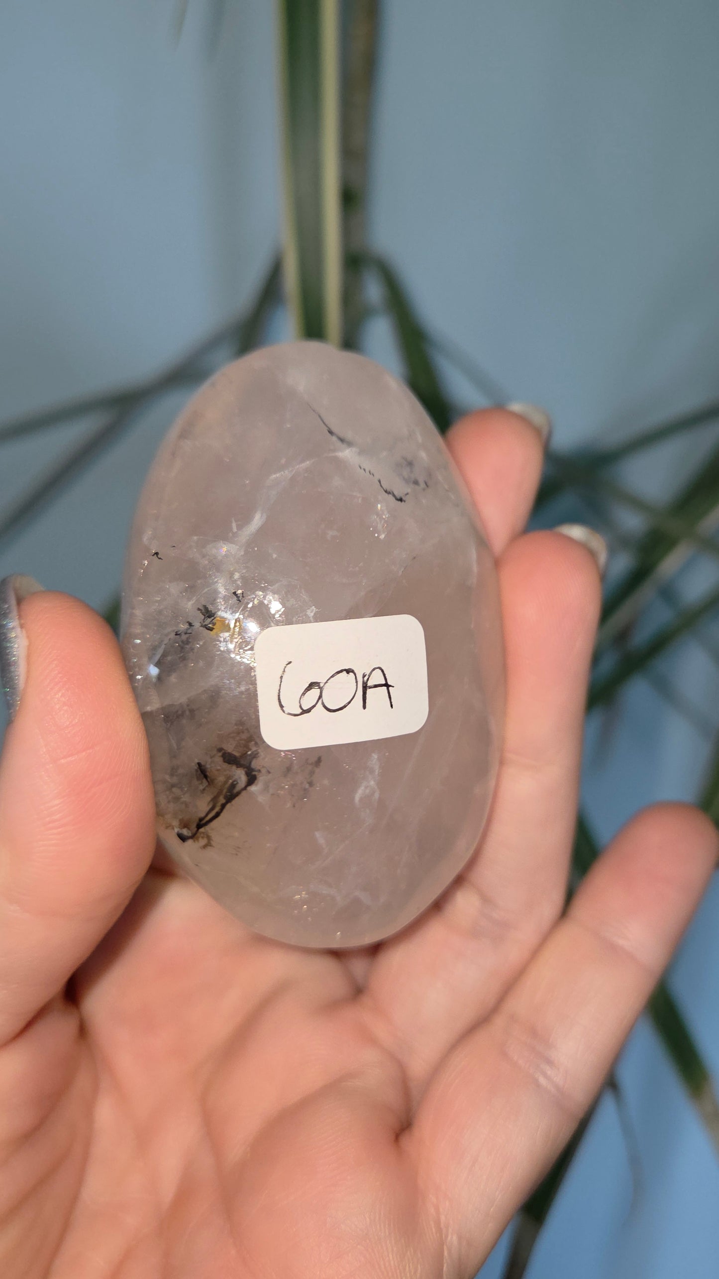 Dendritic Rose Quartz Palm