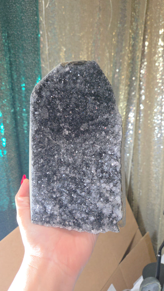 Comment to Claim Michelle